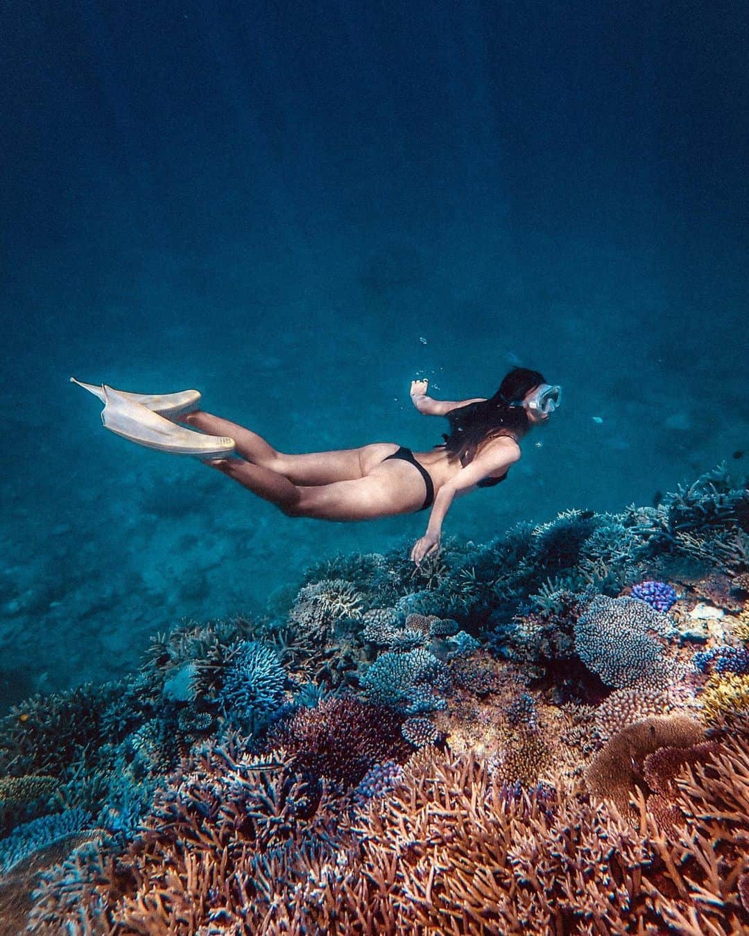 ALEXAさんのインスタグラム写真 - (ALEXAInstagram)「Over 50 percent of the world's coral reefs have died in the last 30 years and up to 90 percent may die within the next century: very few pristine coral reefs still exist.  The impact of our changing climate on coral reefs was again manifested by the third global bleaching event in 2015/16... It’s 2020 now and this summer I was very lucky to see this still healthy, colorful and lively corals in Iriomote, Japan.  It hurts me to think that in few years this one may not exist anymore as well... Climate change is a difficult, complex topic that often feels overwhelming and distant.  But the truth is we can all do something, even something as little as making sure we use reef safe sunscreen when going into ocean, using recycled fabric clothing, second-hand, skipping meat once a week or using reusable water bottle... anything but just something!  We don’t need handful of perfect people living sustainably... we need millions of people doing it imperfectly ❤︎ 🌏✨」11月6日 13時59分 - alexa_luczak