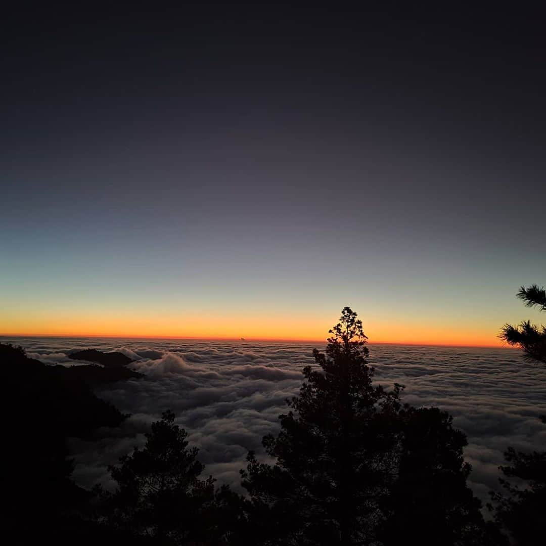 ジョリン・ツァイさんのインスタグラム写真 - (ジョリン・ツァイInstagram)「充電 #充好充滿 #大雪山 #雲海 #大地媽媽的禮物」11月6日 13時58分 - jolin_cai