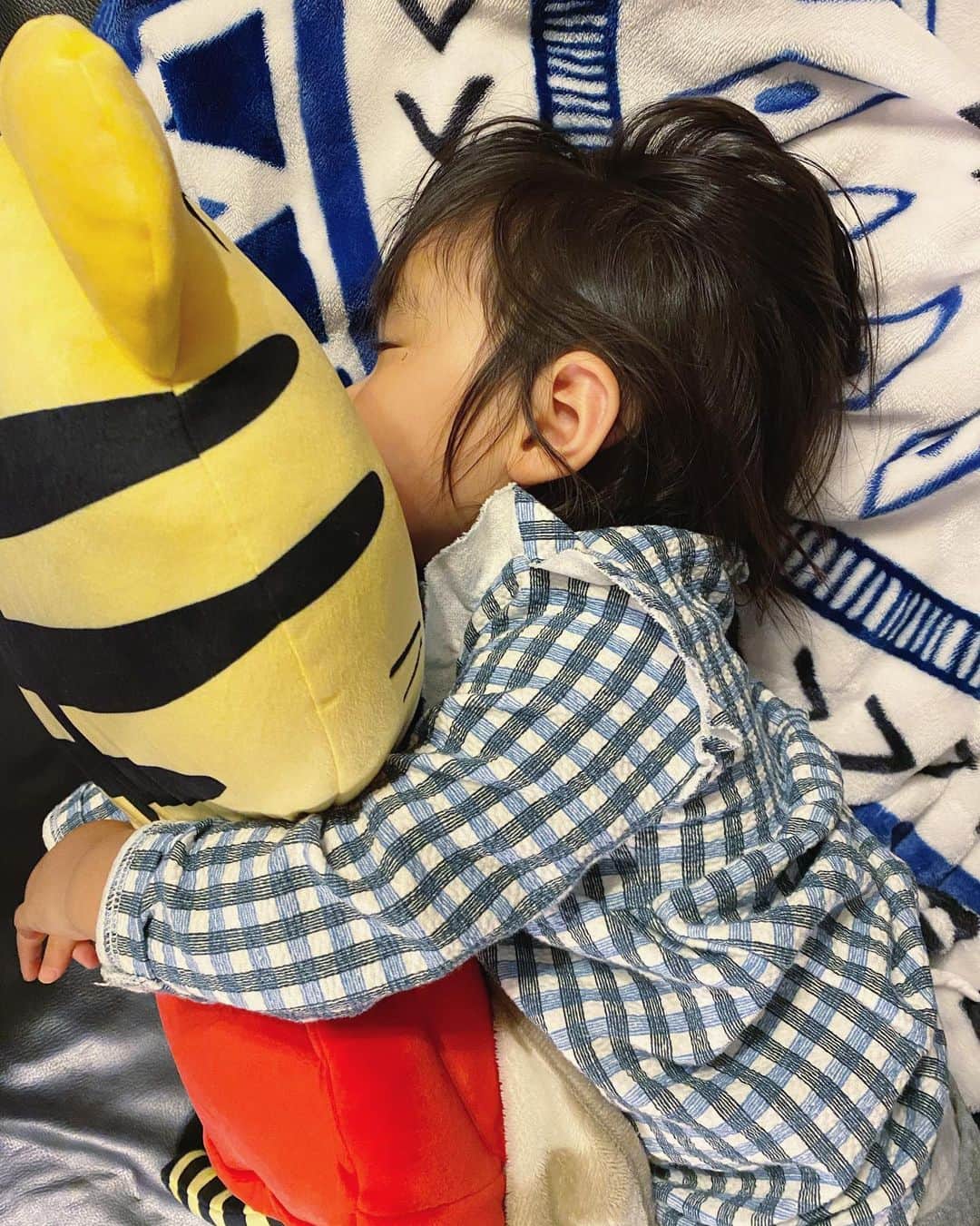 吉田早織のインスタグラム：「・﻿ しまじろうとお昼寝💤﻿ 　﻿ ﻿ ﻿ 先日娘が大好きなしまじろうのコンサートへ🐯﻿ ﻿ ﻿ 前の方の席でラッキー✨﻿ と思ったのに、おてんば娘が計60分間座っていられるはずがなく💦﻿ 何度も脱走するので、他の方の迷惑にならないように結局後半は1番後ろにいました😅﻿ ﻿ ﻿ けど、拍手したり踊ったりとっても楽しそうにしてたので行って良かった🙌💕﻿ ﻿ ﻿ もう少し大きくなったら物語も理解できて楽しめるかな👧﻿ ﻿ ﻿ 会場で買った巨大しまじろうが気に入ったらしく、毎日一緒に寝ています💤﻿ ﻿ ﻿ ﻿ ﻿ ﻿ ﻿ ﻿ ﻿ #しまじろうコンサート #しまじろう ﻿ #こどもちゃれんじ #1歳7ヶ月 #コンサート #ハグハグしまじろう #ベネッセ」
