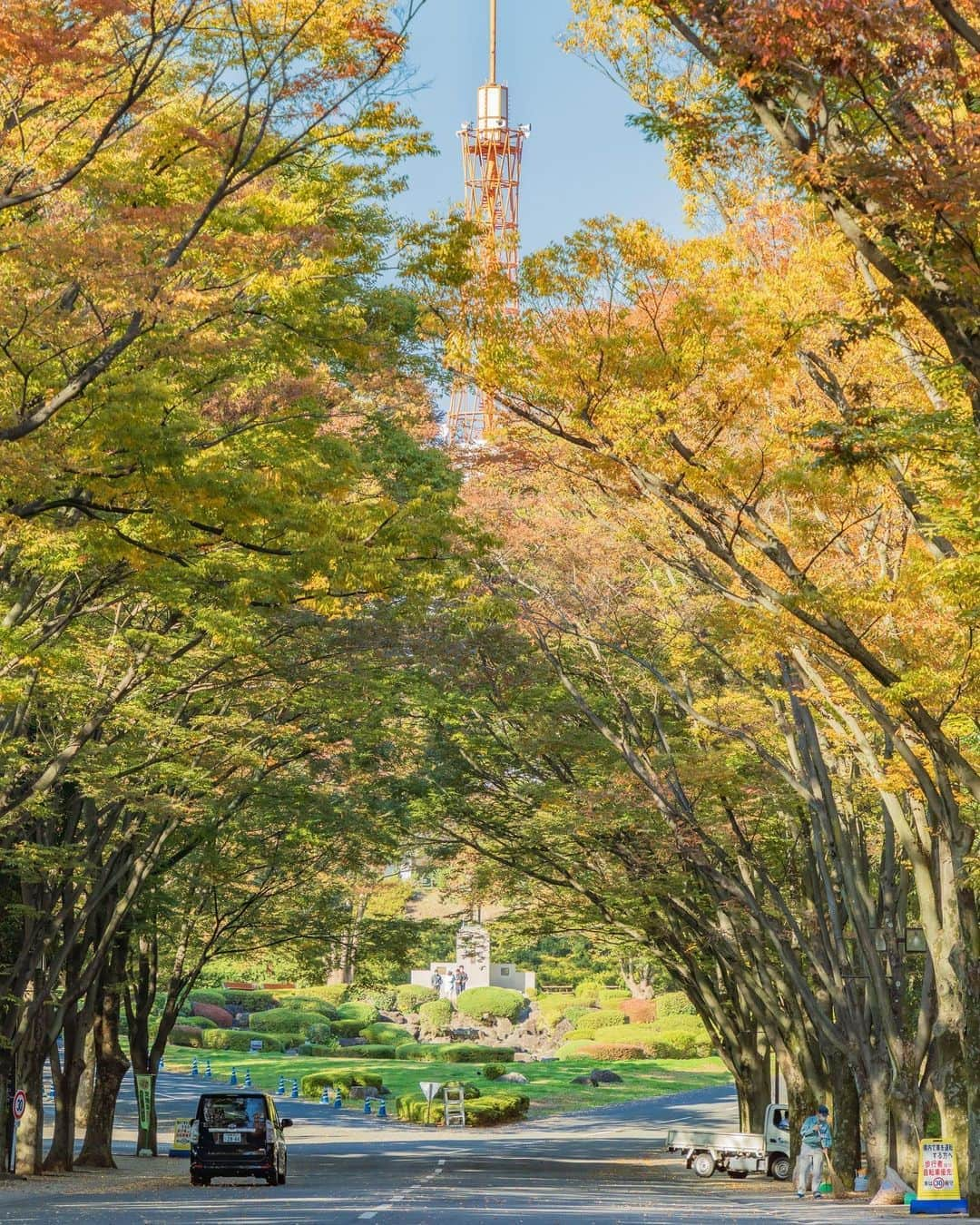 平塚市さんのインスタグラム写真 - (平塚市Instagram)「* 市内屈指の紅葉スポット、 東海大学湘南キャンパス。 新型コロナウイルスの感染拡大により、 一般の入構が禁止されていますが、 許可をいただいて取材へ。 秋が深まり、南門の奥に広がる ケヤキの並木道が、 鮮やかに色づき始めています。 風にヒラヒラと舞う葉と 木洩れ日に秋を感じた午後。 美しい紅葉を、 キャンパスのシンボルとともに。 *** #手をつなぎたくなる街 #hiratsukagood #hiratsuka#平塚 #kanagawaphotoclub #東海大学 #秋#黄葉 #紅葉狩り  #欅#ケヤキ #紅葉 #autumnleaves #紅葉🍁 #お写んぽ #週末の過ごし方 #日々#暮らし #instagramjapan#igersjp」11月6日 14時44分 - hiratsukagood