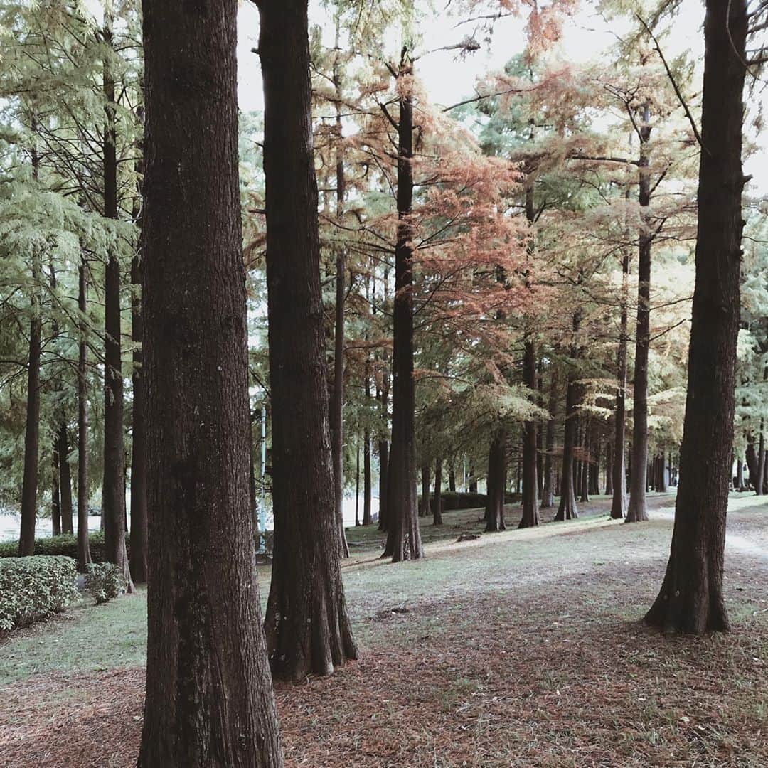 yuiのインスタグラム：「feeling Autumn🌲🍁」