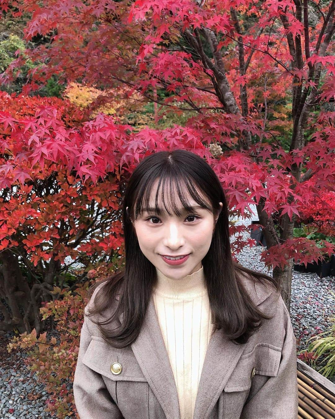 左伴彩佳さんのインスタグラム写真 - (左伴彩佳Instagram)「・ 紅葉しててすごく綺麗だった🍁✨  #秋コーデ #紅葉」11月6日 14時51分 - hidaaya_729