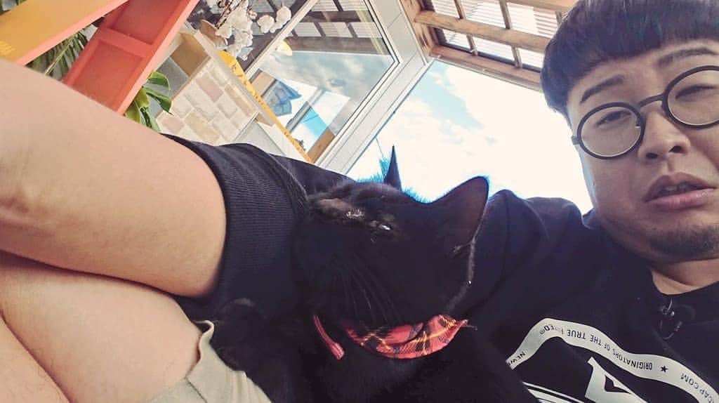 古谷健太さんのインスタグラム写真 - (古谷健太Instagram)「僕は全猫に『眼鏡をかけたマタタビ』やと思われているのが悩みです  アレルギーさえなかったら僕が村長の猫だらけの村作れてる  #猫」11月6日 15時12分 - koyaken_radio