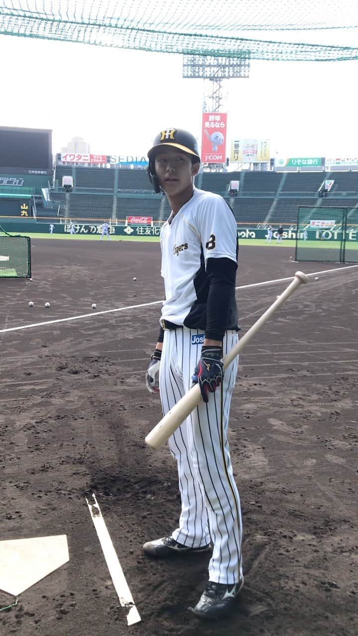 阪神タイガースのインスタグラム