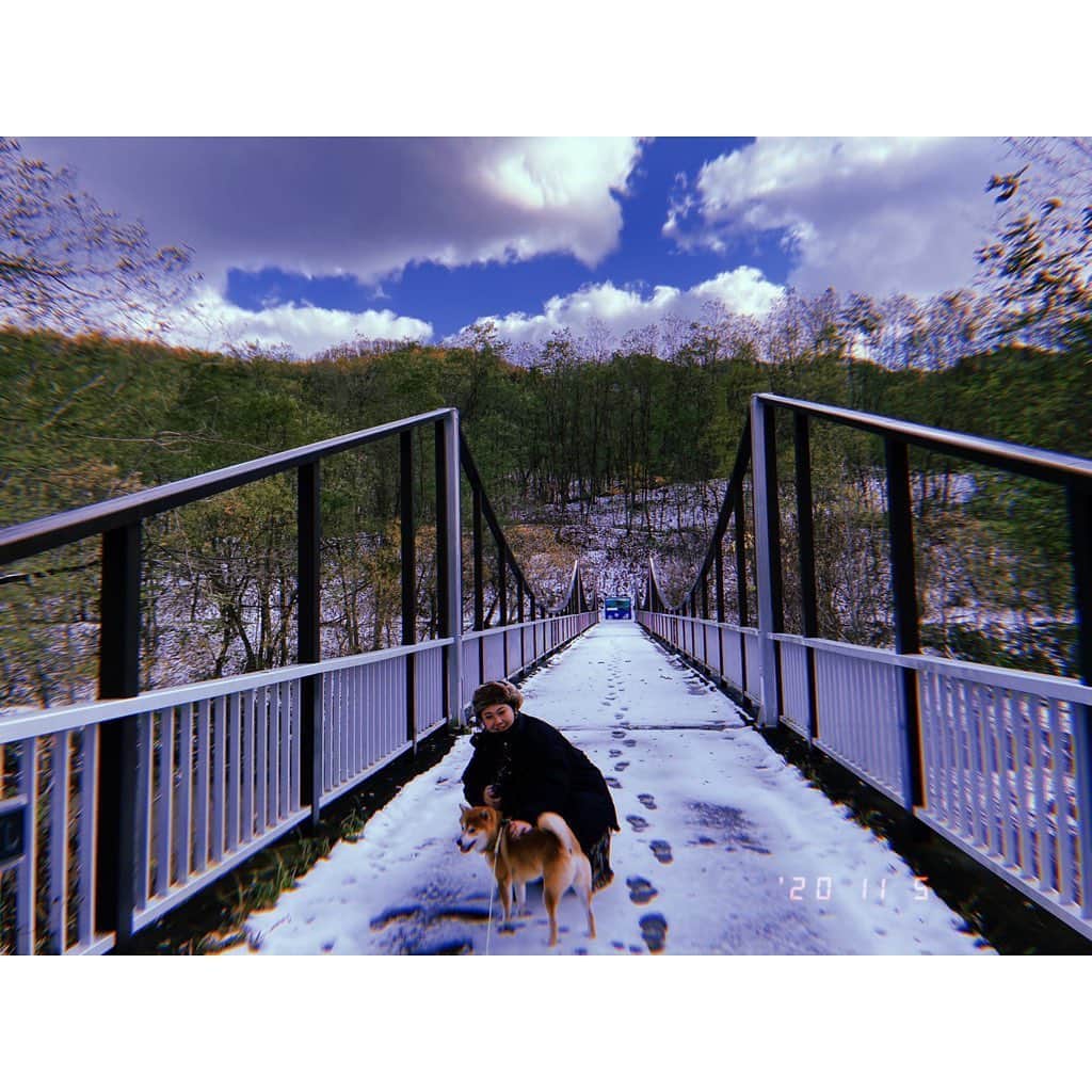 林唯衣さんのインスタグラム写真 - (林唯衣Instagram)「「犬は喜び、庭駆け回り♪」のまんまだった昨日のこたろー。雪にこんなに大はしゃぎするのか！と見ているこちらまで嬉しくなった！だからこそワタシとの恐竜ごっこにも大はしゃぎしてほしかったよ(´･_･`) @kyunkyunkota @ikuchyan0703 #ハヤシ旅」11月6日 15時27分 - yui__hayashi