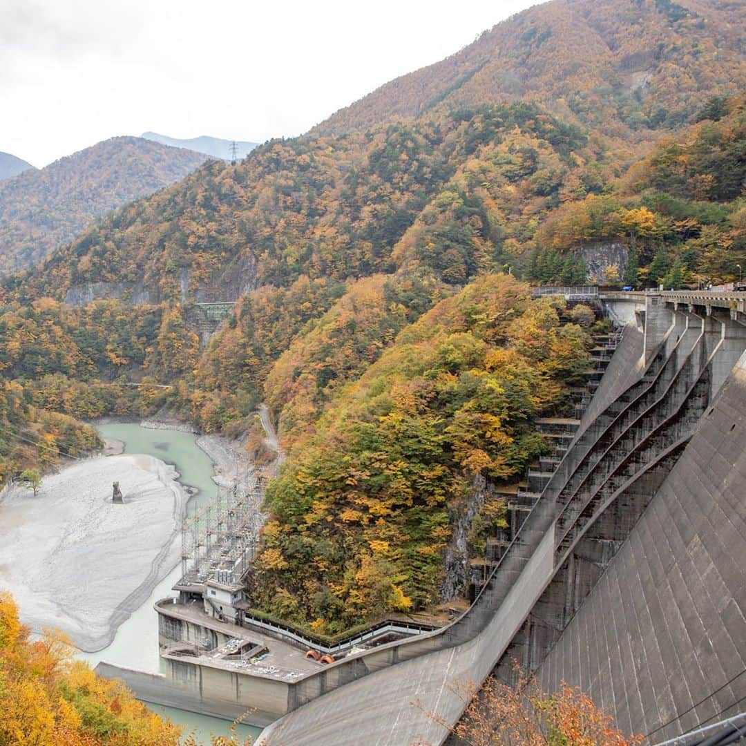 静岡市地域おこし協力隊 のインスタグラム