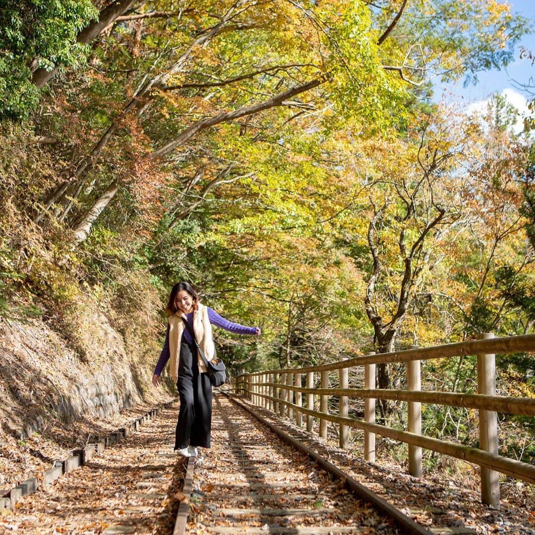 静岡市地域おこし協力隊 のインスタグラム