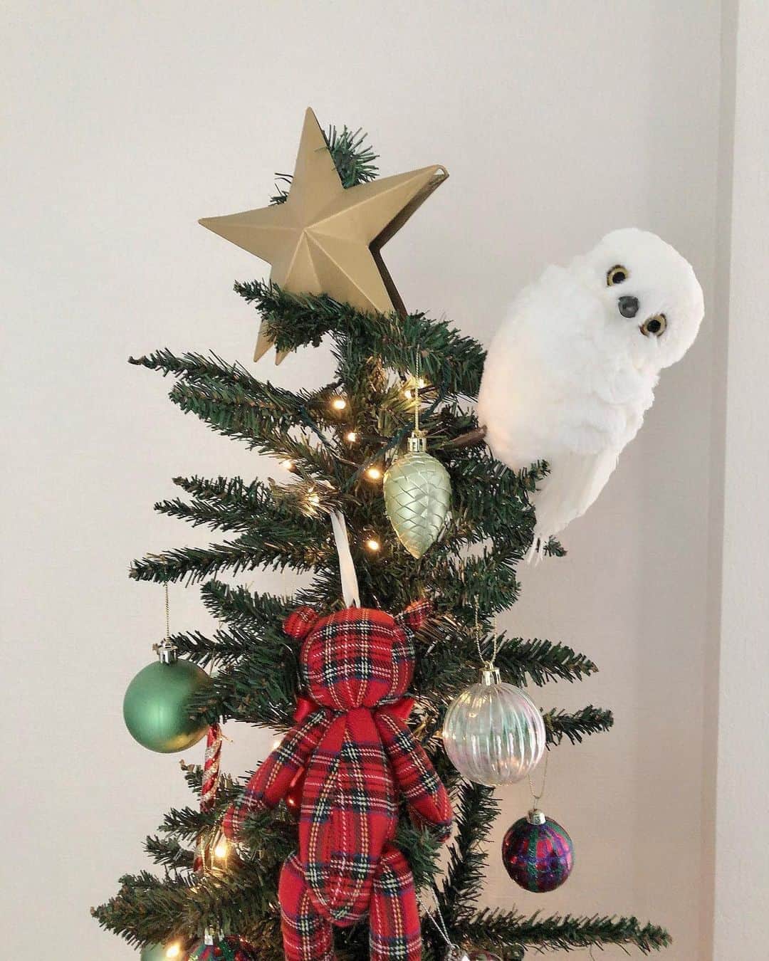 ◆miki◆さんのインスタグラム写真 - (◆miki◆Instagram)「*﻿﻿﻿ *﻿﻿﻿ 🎄🎅🏻🦌﻿﻿﻿ ﻿﻿﻿ 毎年恒例の儀式が無事に終了🔔﻿﻿﻿ 一気にchristmasムードムンムンだぁ～﻿﻿﻿ ﻿﻿﻿ 今年はニトリ様から頂いた﻿﻿﻿ christmas treeを飾りました﻿﻿﻿！ @nitori_official﻿﻿ ﻿﻿ ﻿﻿﻿ 赤と緑とキラキラと…﻿﻿﻿ どこか懐かしい王道なchristmas tree﻿ ﻿﻿﻿ クラフト感のあるオーナメントが﻿﻿﻿ とっても可愛くて雄叫びを挙げていたののなのw﻿﻿﻿ フクロウは自分で合わせてみました🦉﻿ ﻿ ﻿﻿大きいtreeは置く場所がないけど…﻿﻿﻿ christmasムード出したいんじゃーって﻿﻿﻿方にオススメじゃ❤️﻿﻿﻿ すっきりシルエットなのにオーナメントで﻿﻿ボリューミーに錯覚するかもしらん🕊﻿ ﻿﻿﻿ treeは箱にスッキリ収納出来るのも﻿﻿﻿ ポイント高し🥳﻿﻿﻿ ﻿﻿﻿ そろそろサンタさん﻿﻿﻿ プレゼント探しに忙しいんちゃうの？﻿﻿﻿ ﻿﻿﻿ #ニトリのクリスマス﻿﻿﻿ #クリスマスオーナメント﻿﻿﻿ #ニトリ﻿﻿﻿ #クリスマスインテリア﻿﻿﻿ #子供のいる暮らし﻿﻿﻿ #mynitori﻿﻿﻿ #クリスマスツリー飾り付け﻿﻿﻿ #クリスマスツリー﻿﻿﻿ #クリスマス飾り﻿﻿﻿ #pr」11月6日 15時46分 - gold______star