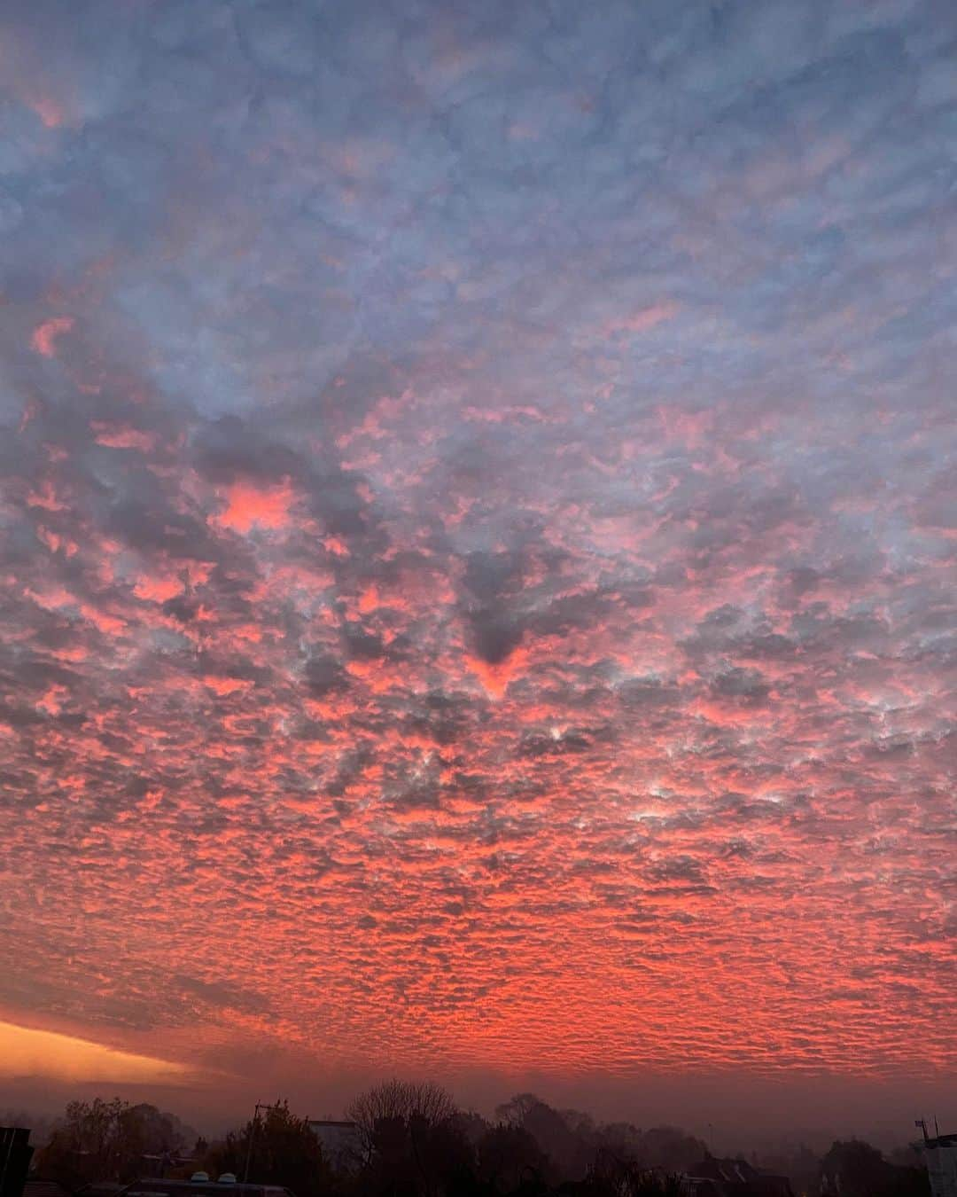 メラニー・サイクスさんのインスタグラム写真 - (メラニー・サイクスInstagram)「Good morning everyone. Sharing a wonderful sunrise ❤️💫 have a happy Friday 💋 #londonsky #skyphotography #skygazer #cloudlover」11月6日 15時52分 - msmelaniesykes