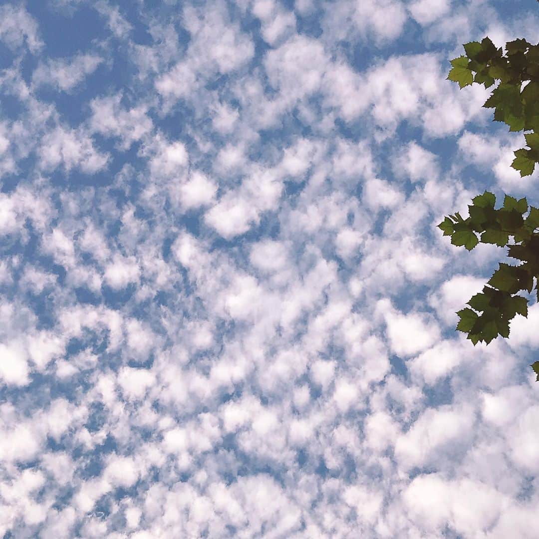 大湯みほさんのインスタグラム写真 - (大湯みほInstagram)「秋の好きな空🌤✨✨  青からピンク色にかわるグラデーション✨🍂👞✨🍃」11月6日 15時56分 - nukazukemiho0320