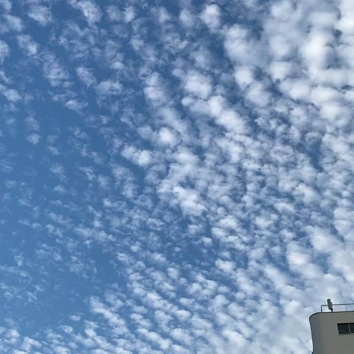 のインスタグラム