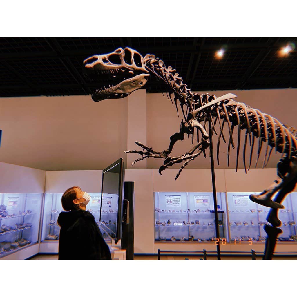 林唯衣さんのインスタグラム写真 - (林唯衣Instagram)「写真を見返してみるとかなりの確率で「恐竜ポーズ」をしている我々🦖📸」11月6日 16時10分 - yui__hayashi
