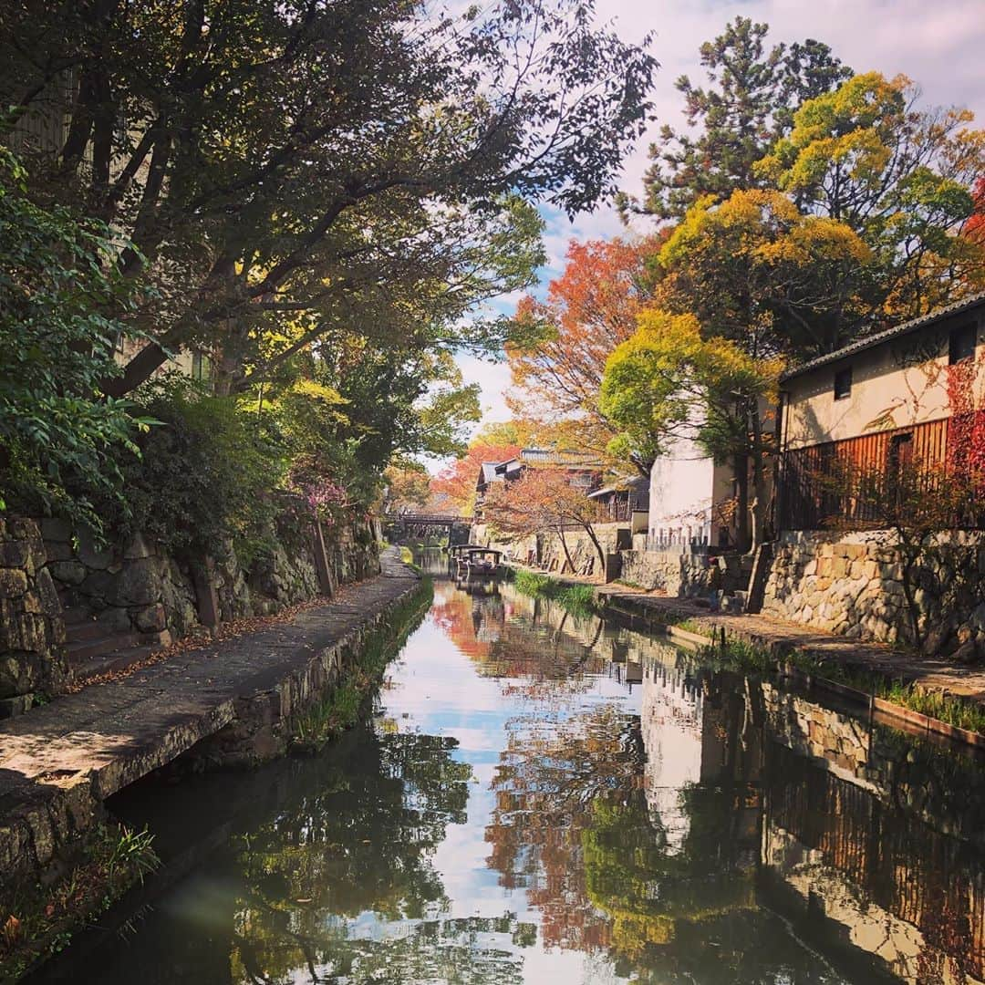 和田美枝さんのインスタグラム写真 - (和田美枝Instagram)「近江八幡ええとこ🚃  #滋賀県 #近江八幡 #初雪食堂 #からあげ定食 #からあげの多さにびっくり #人生で一番 #からあげ食べた日 #幸せでしかない♡ #人も #気候も #ポカポカしてた #贅沢な景色」11月6日 16時06分 - miewada