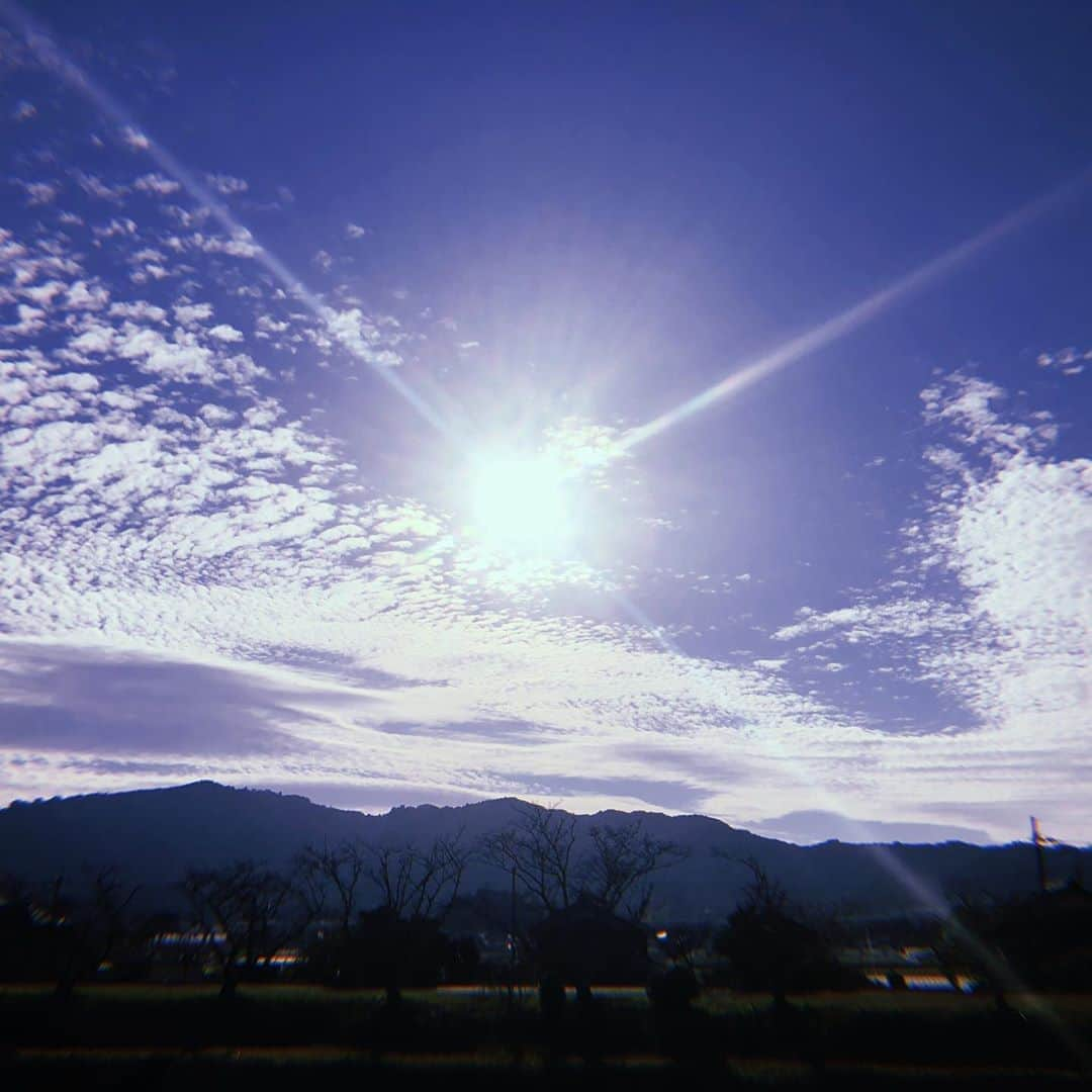 和田美枝さんのインスタグラム写真 - (和田美枝Instagram)「近江八幡ええとこ🚃  #滋賀県 #近江八幡 #初雪食堂 #からあげ定食 #からあげの多さにびっくり #人生で一番 #からあげ食べた日 #幸せでしかない♡ #人も #気候も #ポカポカしてた #贅沢な景色」11月6日 16時06分 - miewada