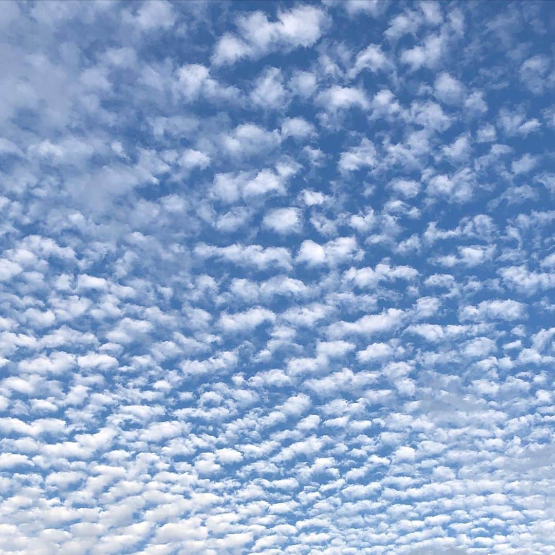 金剛地武志のインスタグラム：「今日の空」