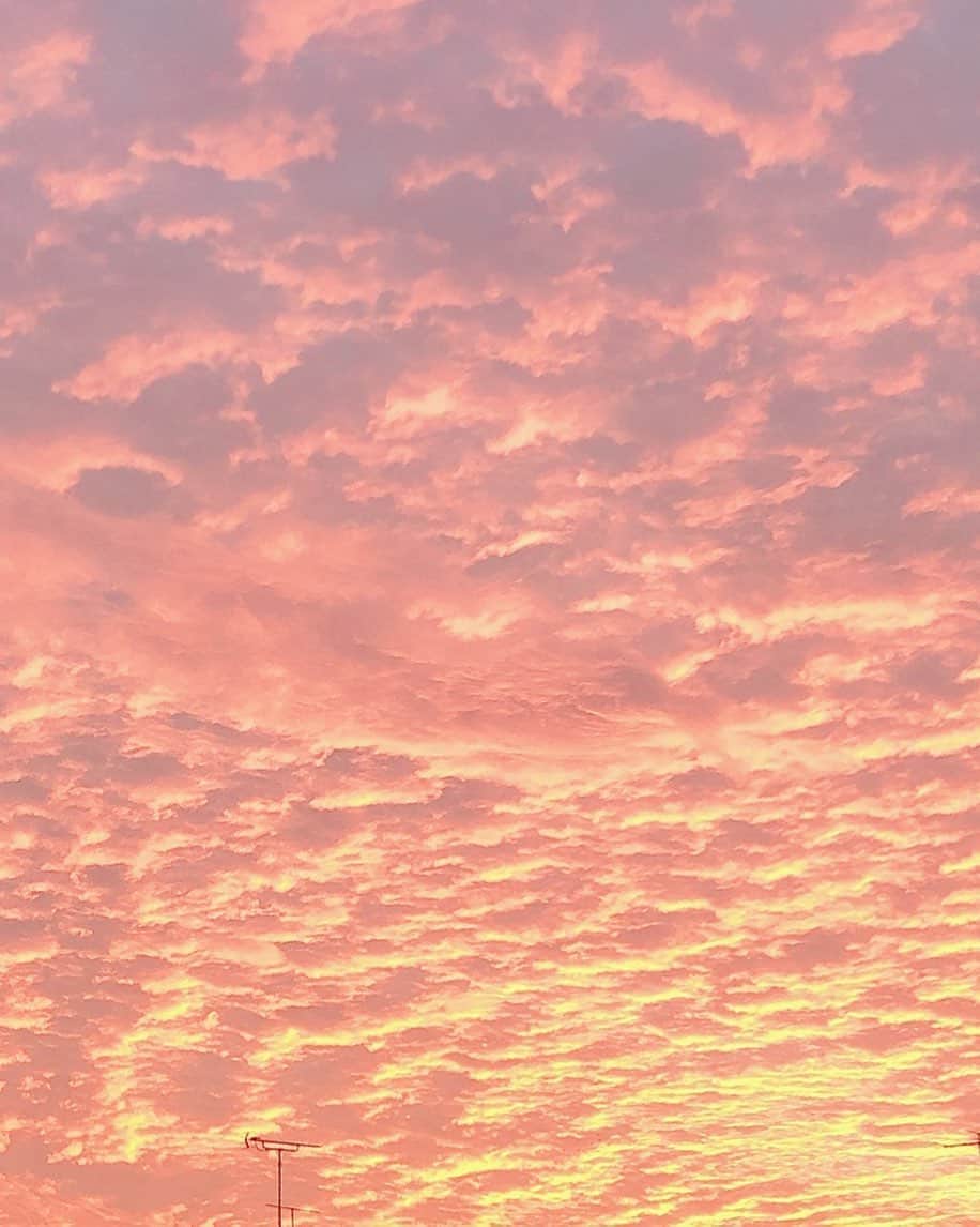 中野みやびのインスタグラム：「今日の空。  #空 #そら #夕方 #夕暮れ #綺麗 #パステル #自然 #風 #冬 #秋 #pink #blue #yellow #good #orange #中野みやび #中野 #みやび」