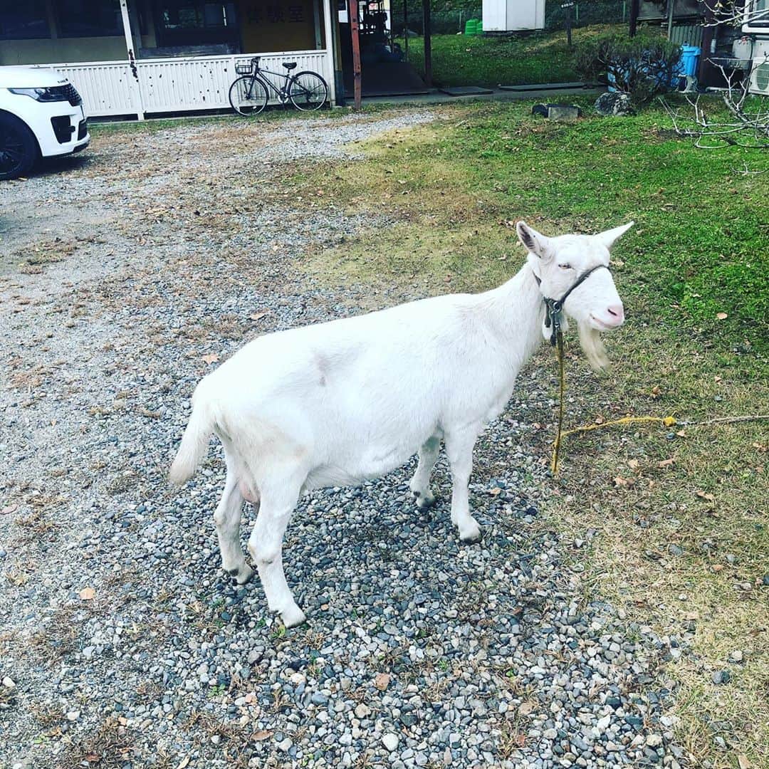 西岡剛のインスタグラム：「明日、午前8時半から9時頃インスタライブしまーす🤗  #西岡剛」