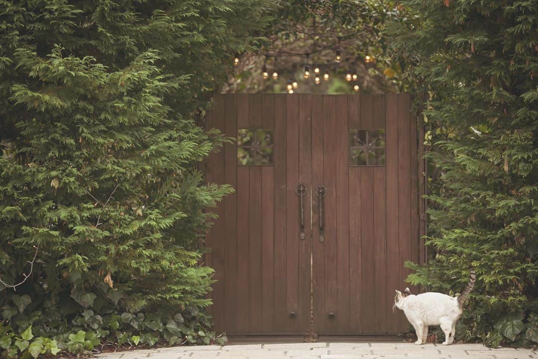 ラクラリエールのグルメインスタ