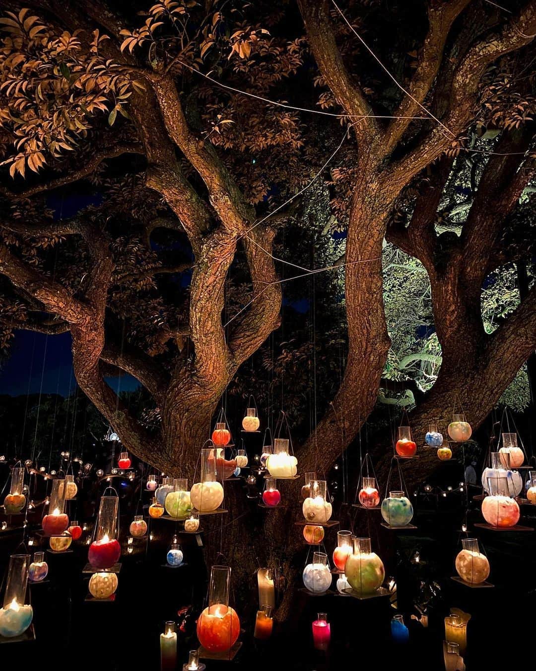 桜帆ゆかりさんのインスタグラム写真 - (桜帆ゆかりInstagram)「#江ノ島シーキャンドル　  🕯が色とりどり綺麗に並べあって、本当に美しく綺麗でした🙈💙💚💛❤️🧡 ひとつひとつの灯りを見るだけでとっても癒されました☺️  #現実逃避　#petittrip  #江ノ島　#🕯」11月6日 16時23分 - chahoroo93