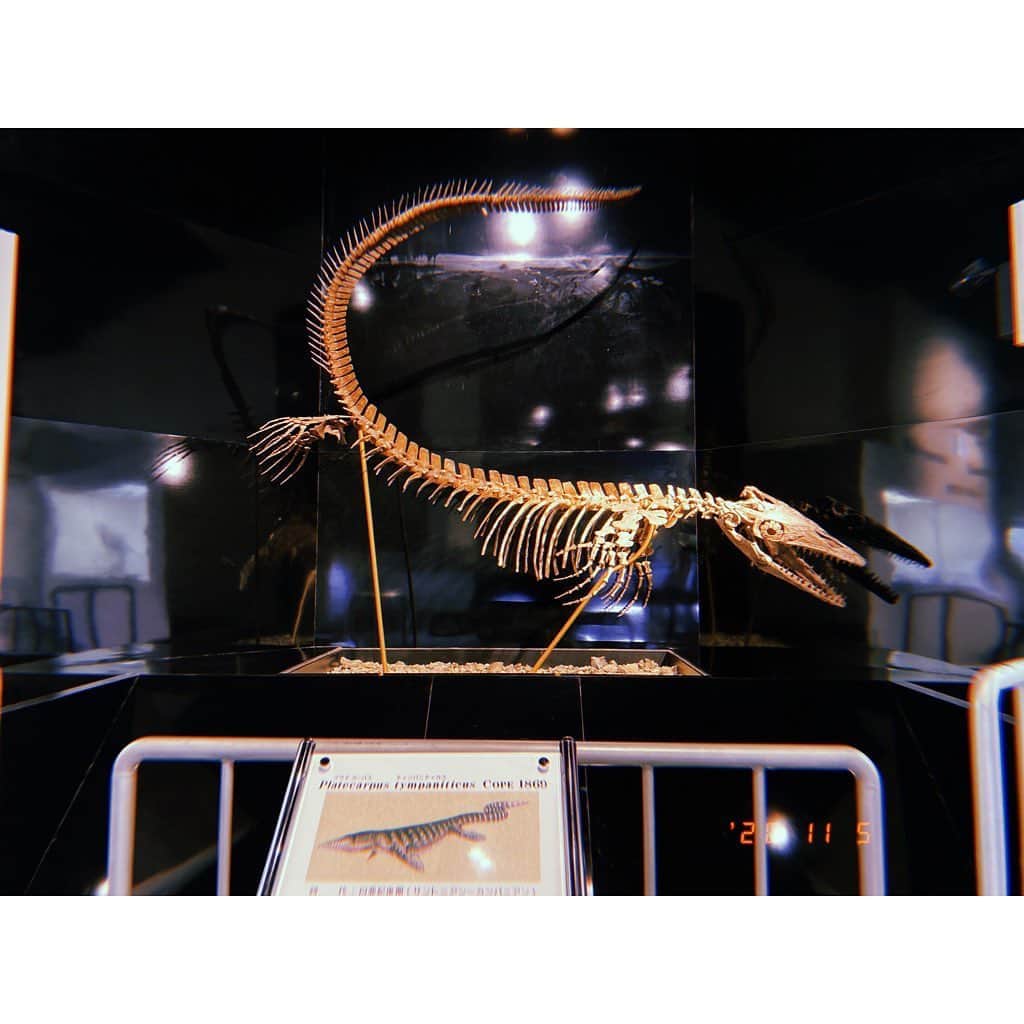 林唯衣さんのインスタグラム写真 - (林唯衣Instagram)「別名「化石の博物館」と呼ばれている三笠市立博物館！数えきれない程のアンモナイトの化石をはじめ、三笠の偉人や囚人に関しての展示室も。とにかく地球のロマンがあちこちに広がっていて時間を忘れて各々じっくりと化石達や映像を堪能、巨大なアンモナイト達の間に布団敷いて寝たいくらいだったよ〜〜〜〜〜！！！！　#アンモナイト　#化石　#ハヤシ旅」11月6日 16時25分 - yui__hayashi
