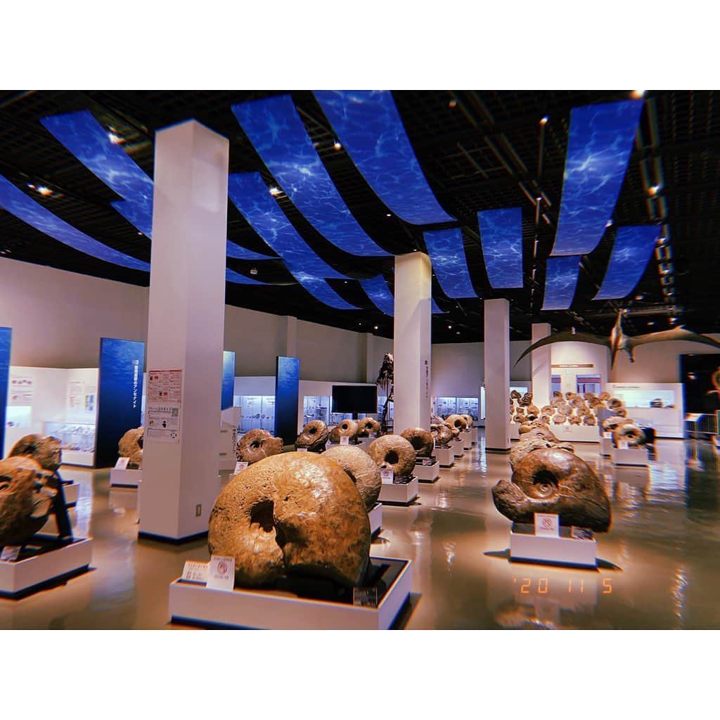 林唯衣さんのインスタグラム写真 - (林唯衣Instagram)「別名「化石の博物館」と呼ばれている三笠市立博物館！数えきれない程のアンモナイトの化石をはじめ、三笠の偉人や囚人に関しての展示室も。とにかく地球のロマンがあちこちに広がっていて時間を忘れて各々じっくりと化石達や映像を堪能、巨大なアンモナイト達の間に布団敷いて寝たいくらいだったよ〜〜〜〜〜！！！！　#アンモナイト　#化石　#ハヤシ旅」11月6日 16時25分 - yui__hayashi