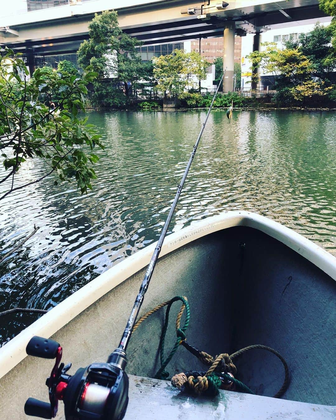 井澤惇のインスタグラム：「大都会の喧騒の中1人、ボートに乗っている🚣‍♀️」