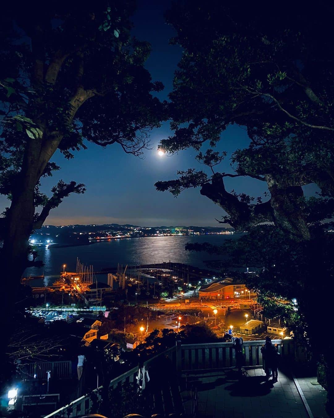 桜帆ゆかりのインスタグラム：「奇跡の一枚😎🌙✨  #iPhonephoto  #夜景」