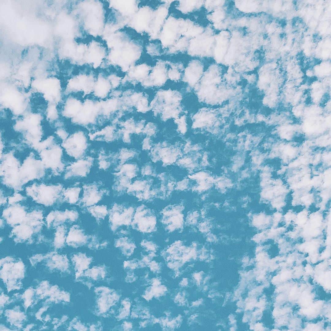 伊倉愛美さんのインスタグラム写真 - (伊倉愛美Instagram)「☁️ 面白い空を見つけるとシェアしたくなるのが 人間という生き物です☁️☁️☁️☁️☁️ #うろこ雲 #秋晴れ #空が好き #空が好きな人と繋がりたい #もこもこ #Cirrocumulus」11月6日 16時36分 - ikura_manami