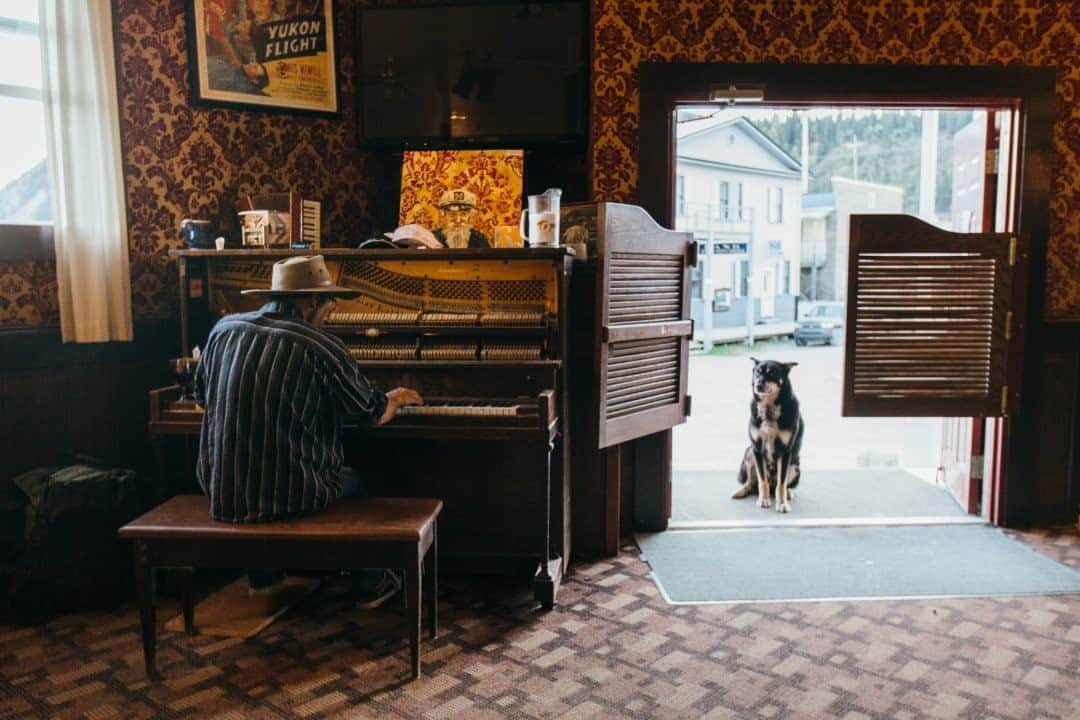 National Geographic Travelさんのインスタグラム写真 - (National Geographic TravelInstagram)「Photo by Spencer Millsap @Spono / A four-legged customer waits outside as classic piano melodies fill the Downtown Hotel's Sourdough Saloon in Dawson City, Yukon, Canada. The saloon is the site where bar patrons can partake in the sourtoe cocktail, a legendary drink with a storied past that goes back to the 1920s. The saloon describes the drink as "1 ounce (minimum) of alcohol, 1 dehydrated toe, and garnish with courage." #SourdoughSaloon #DawsonCity #Yukon #Canada #sourtoecocktail」11月6日 16時39分 - natgeotravel