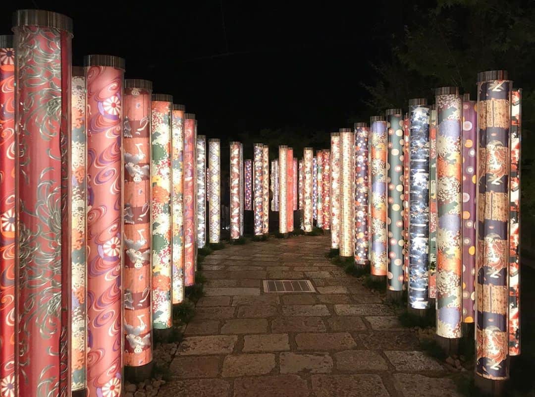 野口真未のグルメインスタ