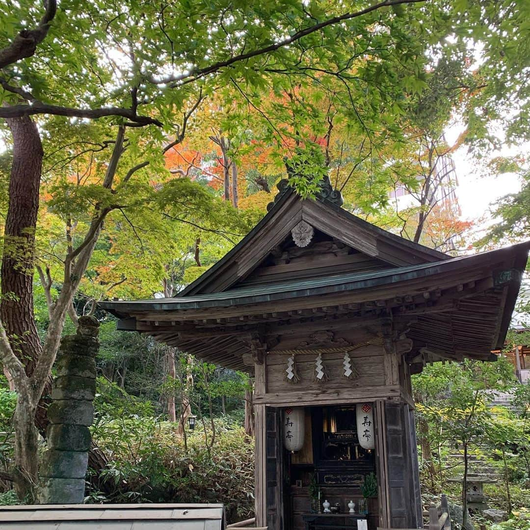 湯の山温泉 寿亭|Ryokan KOTOBUKITEIのインスタグラム