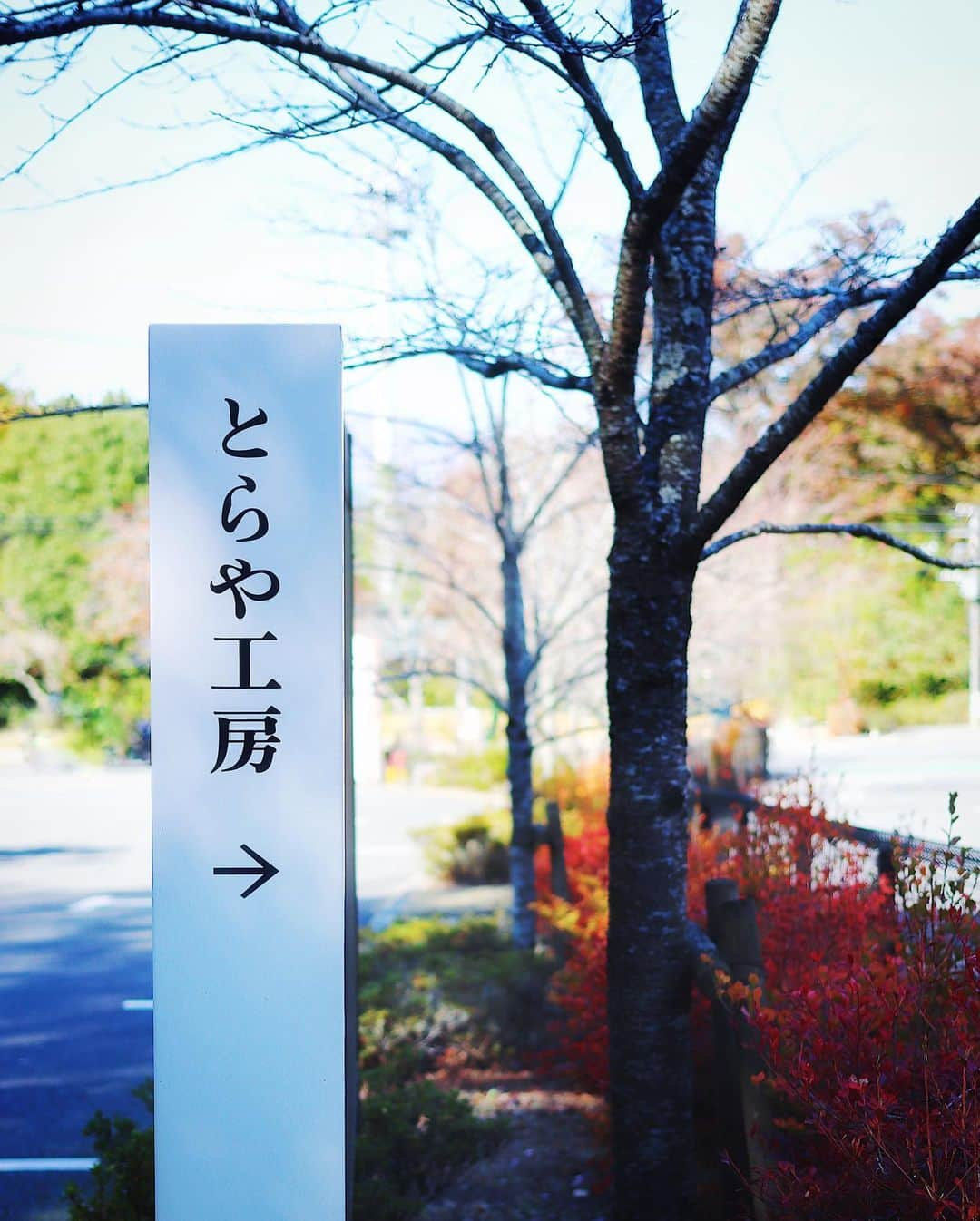 rei_nyanzさんのインスタグラム写真 - (rei_nyanzInstagram)「🍃 　 　 久しぶりの遠出は 箱根への1泊2日の旅… 🚙 　 　 山の木々も紅葉へと色付き始め 美しいグラデーションが広がり 澄んだ空気はひやりと清々しく 全てが最高のタイミングでした  　 そして…  　 漸く想いが叶って伺えた #とらや工房 の喫茶室へ…  緑豊かに彩られた山門の先には 荘厳な竹林からの道なりが続き 　 他の方々とすれ違うこともなく しばしの間マスクを外しながら 存分に森林浴を楽しむことができました 　 　 そして… 季節限定の生菓子は秋満載🍁  季節限定　#栗もち 季節限定　#芋きんとん 平日限定　#大福  　 　 喫茶室の席は先に確保してから オーダーに並ぶシステムで安心 　 　 何杯でもお代わりができる 淹れたての煎茶は驚きの¥300 　 　 緑薫る豊かな景色を眺めながら ゆったりいただく至福のひと時でした 　 　 　 　 　 　 #モチロンお土産も山ほど買い込みました❤︎ #静岡県 #御殿場　 #御殿場カフェ  #和カフェ  #カフェ巡り #とらや #虎屋 #喫茶室 #緑茶 #和菓子 #wagashi #森林浴 #竹林  #秋 #紅葉  #癒しの時間  #日本の風景  #緑のある暮らし  　 2020.11.5 #箱根旅の記録」11月6日 16時47分 - rei_nyanz