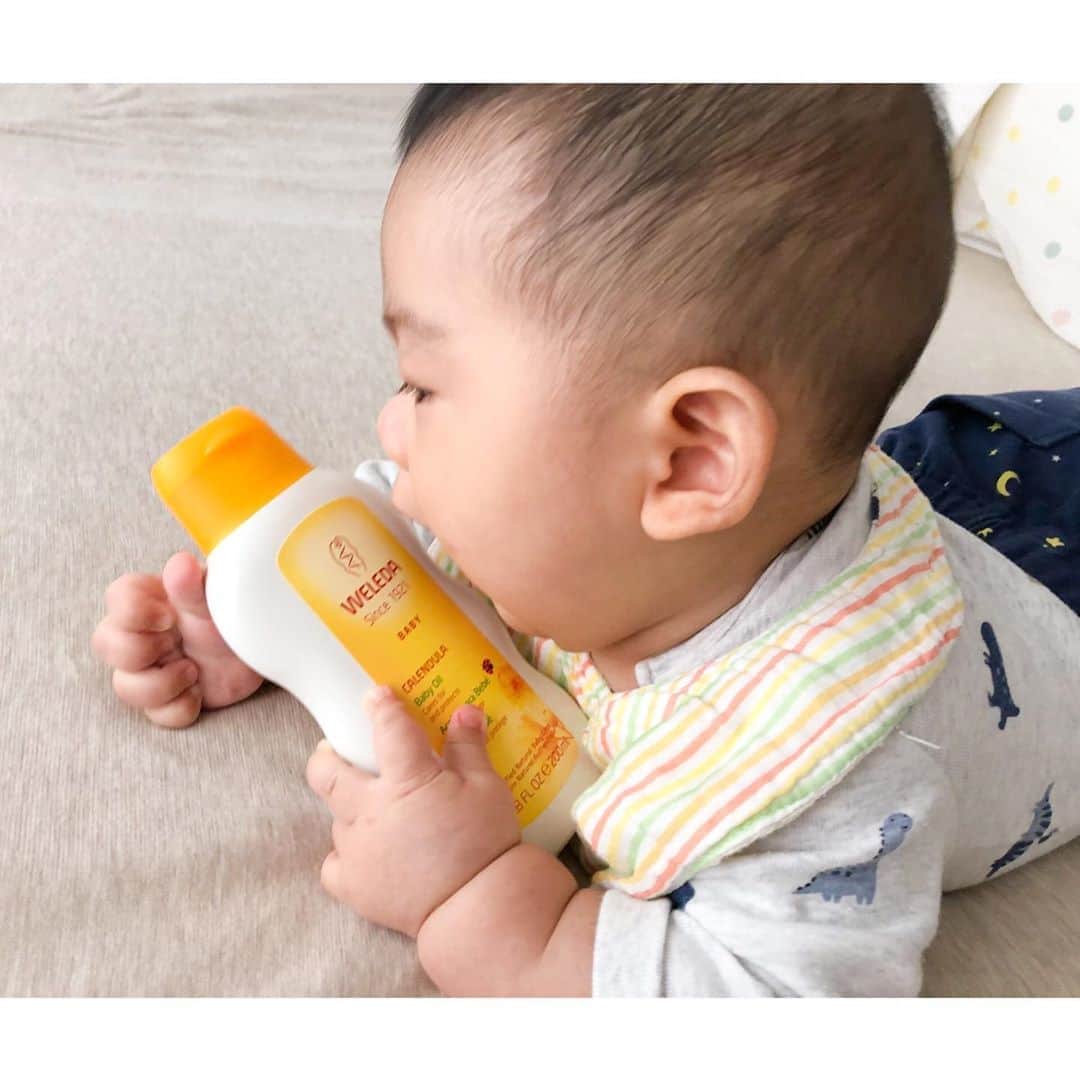 馬渕史香のインスタグラム：「ヴェレダベビーアンバサダープログラム 2つ目が届いたよー 今回は、カレンドラ ベビーオイル✨  写真撮ろうとしたら、最近お気に入りのバナナのおもちゃと同じ色合いやでか、すぐ口もとに🍌 勢いよすぎてブレとる笑笑  ベビーのシリーズで1番気になっとったのがコレ ヴェレダといえばオイルやでね✨  使ってみた感想は、意外と香りはほんのり😳 前回のベビーウォッシュ＆シャンプーの方が香りがある🛁  使い心地は、伸びがいいので、お風呂あがりにタオルの上で動きまくる息子でも全身に手早くぬれて楽ちん😊 あと、この時期は特に、手のひらで温めてぬれるで、ひんやりしないのもオイルのいいとこやよねぇ  ただ、これに限らずオイル製品はしばらく使っとるとタオルとかパジャマがオイルの酸化臭してきてまうで、史香は定期的にお湯と酸素系漂白剤で洗っとる🧼  面倒っちゃ面倒やけど、そうゆうの案外きらいじゃない😋  @weleda_japan  #ヴェレダ #ヴェレダベビー #ヴェレダベビーアンバサダー #ヴェレダファンプログラム  #あしざわ家 #赤ちゃんのいる生活 #ずぼら主婦  #令和2年生まれ #5月生まれ #男の子ベビー #令和ベビー #babyboy #2020baby」
