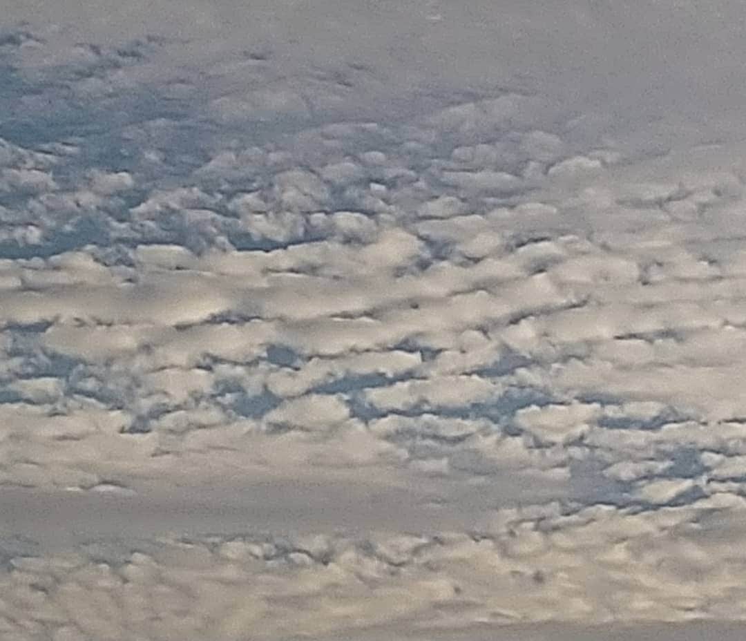 春山恵理さんのインスタグラム写真 - (春山恵理Instagram)「これって、もしや念願のサバ雲ですか？ もし違っていたら教えてください🙇  #さば雲  #サバ雲  #秋の空  #空が好きな人と繋がりたい  #空が好き #雲が好きな人と繋がりたい  #雲が好き」11月6日 17時01分 - haruyamaeri