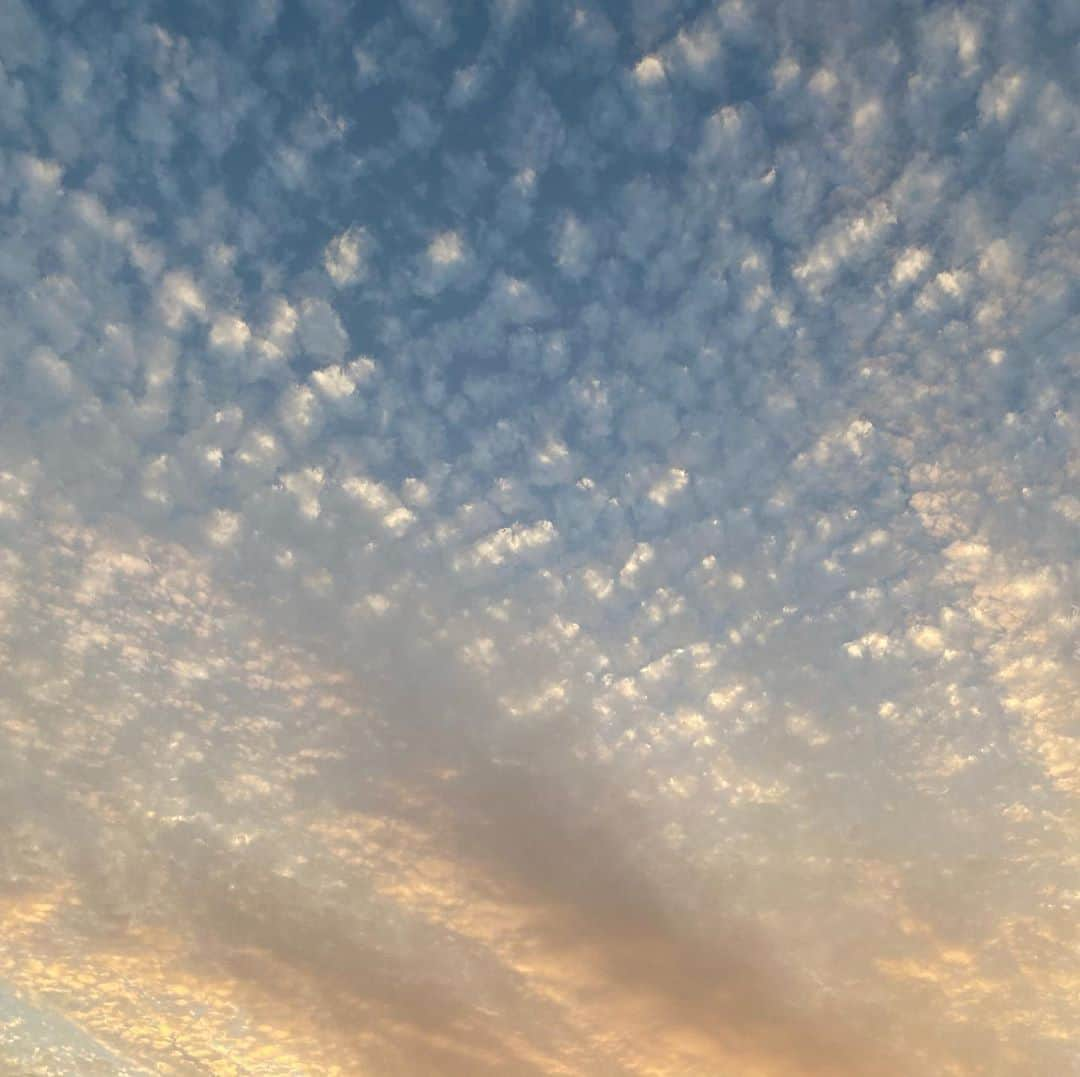 松浦志穂さんのインスタグラム写真 - (松浦志穂Instagram)「幕張で見たとっても綺麗だった夕日🌇お裾分けしますね @kei_yamazaki_aisekistart  さんの携帯お借りして撮影。 ・ #夕日 #無加工 #幕張イオンモール劇場」11月6日 17時16分 - matushiho