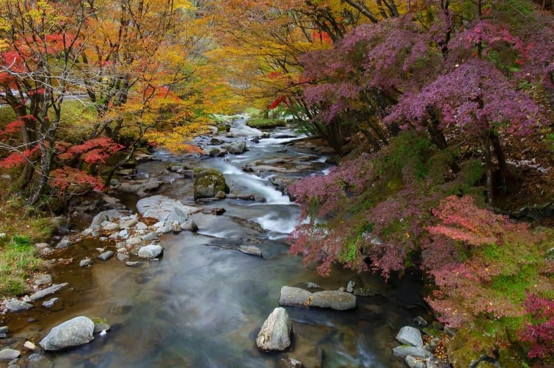 福島県さんのインスタグラム写真 - (福島県Instagram)「【強滝（こわだき）】  色づく木々のトンネルの中に豊かな流れの渓流瀑が続きます。岩の間で円を描いたモミジが、やがて本流の小さな滝に吸い込まれていきます。  #強滝 #鮫川村 #福島県 #samegawavillage #fukushima #traveljapan #futurefromfukushima #ふくしまからはじめよう #新しい生活様式からはじめよう」11月6日 17時19分 - realize_fukushima