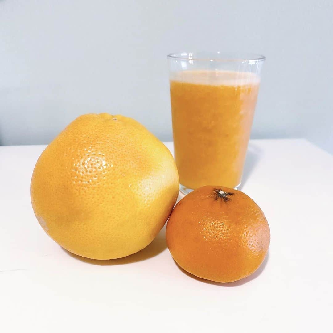 のインスタグラム：「毎朝フレッシュジュースを楽しんでいる🍊 果物の組み合わせや、 生姜や蜂蜜、ミント、ミルク、氷の有無で味がだいぶ変わるから、実験みたいで楽しいよ。  柑橘類は薄皮も剥く派。 ミキサーにかけたあと、残しておいた実を追加して、ゴロッと感を楽しむのがお気に入り。  #朝のルーティン #朝の習慣 #朝時間 #朝活 #朝の時間  #フレッシュジュース #果実感 #果物大好き」