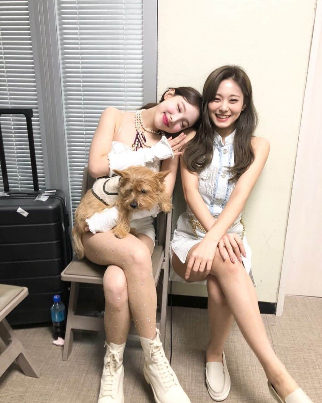 TWICEさんのインスタグラム写真 - (TWICEInstagram)「이 투명의자 정말 편하고 좋다~~~~ 오래 앉을 수 없어서 그게 좀 아쉽네요 這透明椅子坐起來還不錯呢～～就差沒辦法坐太久有點可惜」11月6日 17時34分 - twicetagram