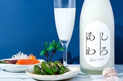 KURAND@日本酒飲み放題さんのインスタグラム写真 - (KURAND@日本酒飲み放題Instagram)「新しいのにホッとする さらりとした日本の微発泡和マッコリ 『しろあわ』  グラスに注ぐと、表面には小さく美しい泡がふつふつと浮かびあがり、口に含むと、さらりと滑らかな口当たりとピュアな甘みが優しく包み込んでくれます。乳酸菌由来のヨーグルトのような爽やかな酸味と、しっかりめの炭酸で、のど越しはすっきり。通常のマッコリよりもさらりとした感触は、ごくごく飲めてしまう飲みやすさです。  日本酒作りを手掛ける前に、本場韓国で本格マッコリを3年の月日をかけて研究。苦心の末つくり上げた日本初の国産マッコリです。 日本人の舌にも合うように甘さ控えめでさらりと飲みやすい、食中酒にもぴったりのマッコリとして開発されました。  マッコリは、通常は焼肉屋、韓国料理にあいますが、今回の「しろあわ」は日本人の味覚に合わせているので、味の濃淡、ジャンルを問わず、さまざまな料理に合わせることができます。  商品:しろあわ 価格：4200円（税別） 容量：720ml 商品タイプ：日本酒 詳しくはトップ欄のリンクから  #kurand #クランド #酒 #果実酒 #焼酎 #梅酒 #クラフトビール #熟成梅酒 #日本酒love #ブランディング #ブランディングデザイン #オンライン飲み会 #日本酒好きな人と繋がりたい #日本酒で乾杯 #クリスマスイブ #クリスマス #お正月」11月6日 17時55分 - kurand_info