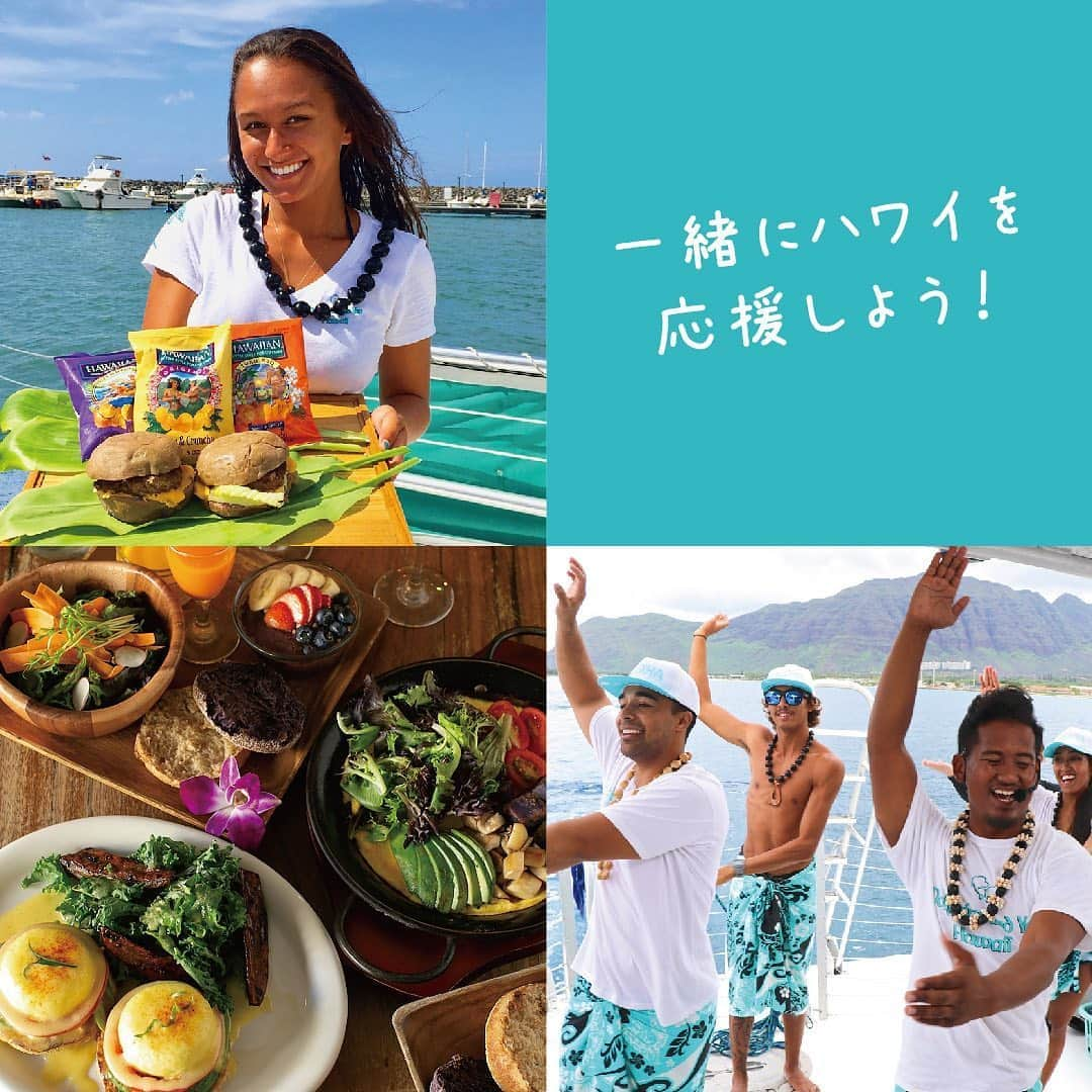 BCL公式Instagramページさんのインスタグラム写真 - (BCL公式InstagramページInstagram)「【11/6本日スタート‼️サボリーノと一緒にHAWAIIを応援しよう🌺】﻿ ﻿ ﻿ 困窮するハワイ経済を応援すべく、﻿ 朝用マスク「サボリーノ」が﻿ 【クラウドファンディング】を実施します😤✨﻿ ﻿ 集まった支援金の30%は﻿ 「#SUPPORT ALOHA（サポート・アロハ）」へ寄付をし、﻿ 経済的ダメージを受けているハワイのコミュニティ回復に役立てます🙌🏻﻿ ﻿ ﻿ さらに支援金に応じて、﻿ ハワイ現地でしか買えない‼️限定サボリーノの豪華セットを提供いたします🎉﻿ ﻿ ﻿ ＜#SUPPORT ALOHA とは？＞﻿ ﻿ 経済的なダメージを受けるハワイのコミュニティ回復を目的とした、プロジェクトです。﻿ HPでは、ハワイ地元の様々なショップよりロゴマークの提供を受け、﻿ オリジナル商品の販売をしています。﻿ ハワイアンテイスト溢れるオリジナル商品を購入して頂くことで、﻿ ハワイ経済支援をプロジェクトを通じ地元企業を応援することができます。﻿ ﻿ https://supportaloha.com﻿ （英語・日本語での閲覧可能）﻿ ﻿ ﻿ 【サボリーノクラウドファンディング期間】﻿ 2020年11月6日（金）〜11月30日（月）﻿ ﻿ 【サボリーノクラウドファンディングHP】﻿ https://camp-fire.jp/projects/view/339963﻿ （ハイライトからもチェック頂けます🙌🏻）﻿ ﻿ 【支援金に関して】﻿ 本クラウドファンディングにより集まった支援金の30%を「#SUPPORT ALOHA」へ提供し、﻿ ハワイ経済や観光業を応援します。﻿ ﻿ 【リターンについて】﻿ 「ハワイ限定 サボリーノ 目ざまシート」を、﻿ 各コースに合わせてご提供いたします。﻿ またBCLからのささやかなプレゼントとして、﻿ 「ハワイのお菓子」と「サボリーノ通常版 お試し5枚入り」を同梱いたします。﻿ ﻿ ﻿ ①3,000円ベーシックコース﻿ ・サボリーノ 目ざまシート ハワイ限定品（28枚入り）×1つ﻿ ・サボリーノ 目ざまシート ハワイ限定品（5枚入り）×1袋﻿ ・サボリーノ 目ざまシート（5枚入り）×1袋　※﻿ ・ハワイのお菓子×1つ　※﻿ ﻿ ②5,000円お友達シェアコース﻿ ・サボリーノ 目ざまシート ハワイ限定品（28枚入り）×2つ﻿ ・サボリーノ 目ざまシート ハワイ限定品（5枚入り）×5袋﻿ ・サボリーノ 目ざまシート（5枚入り）×1袋　※﻿ ・ハワイのお菓子×1つ　※﻿ ﻿ ③10,000円スペシャルコース﻿ ・サボリーノ 目ざまシート ハワイ限定品（5枚入り）×20袋﻿ ・サボリーノ 目ざまシート（5枚入り）×1袋　※﻿ ・ハワイのお菓子×1つ　※﻿ ﻿ ※プレゼント品は同等品へ変更となる場合があります。﻿ ﻿ ﻿ 【発送について】﻿ 2020年12月中旬〜2021年1月末頃、順次発送予定。﻿ ﻿ ﻿ こんな時だからこそ、﻿ ハワイ限定のサボリーノを通じてハワイを応援したい‼️﻿ そんな思いから限定品の発売を決定いたしました☺️﻿ ﻿ 今回入手できる商品は、パッケージも現地仕様の英語表記で﻿ そのままハワイからのお土産のようにお楽しみ頂けます🌺﻿ （日本語での能書添付して送付します）﻿ ﻿ 日本にいながらハワイの風を感じていただけるような企画となっておりますので、﻿ みなさまのサポートを頂けますと嬉しいです💕﻿ ﻿ ﻿ #saborino #サボリーノ #hawaii #ハワイ #クラウドファンディング #crowdfunding #ハワイ限定品 #募金 #支援 #寄付 #ご当地コスメ #お土産 #海外 #bcl #bclコスメラボ #シートマスク #朝用マスク #時短マスク #時短ケア #フェイスマスク #洗顔 #スキンケア #保湿下地 #化粧下地 #campfire #campfire_crowdfunding」11月6日 18時04分 - bcl_company_official