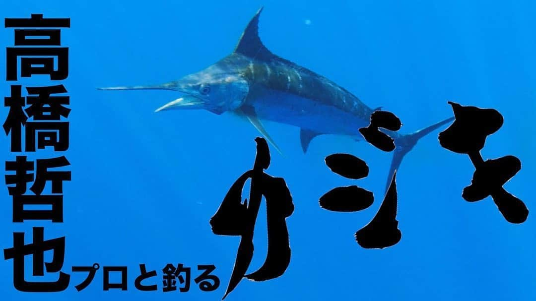 本多洸亮のインスタグラム：「こChannelアップしました🐟✨ 人生初のカジキとの格闘を映像に収めたので、是非みて欲しいー！ 釣りプロの高橋哲也さんも参戦してくれて盛り上がりました🙌✨ プロフィールから是非みてね👏  #こChannel #高橋哲也 #カジキマグロ #海宝丸 #宮古島」