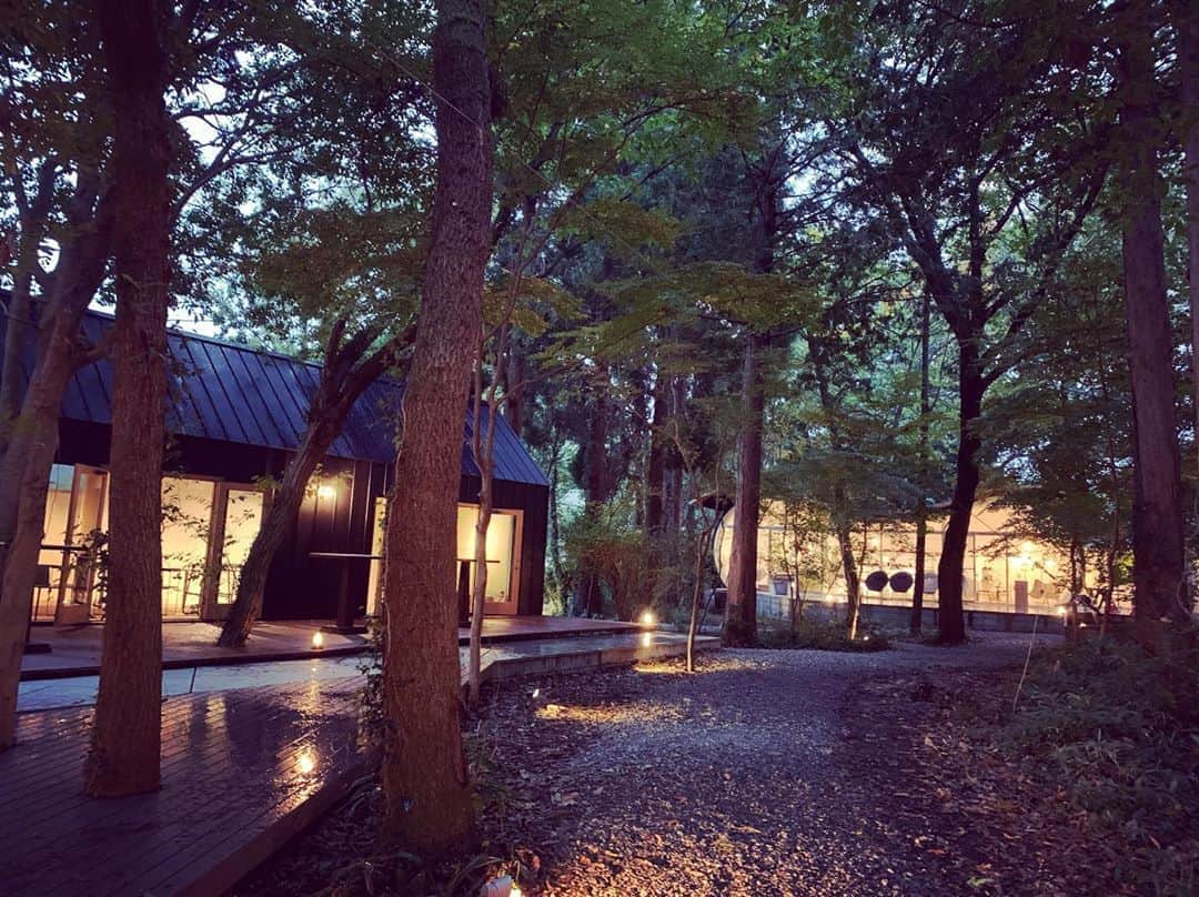 常盤よしこさんのインスタグラム写真 - (常盤よしこInstagram)「. 西原村の森の中にあるboketto♫ 森の中をテーマにした オシャレな施設です〜！！ ジブリの森みたい❤️ ビーフカツ美味しかった😋  #てれビタ #てれビタ中継 #boketto #オーガニックレストラン #森の中 #西原村グルメ」11月6日 18時16分 - yoshiko.tokiwa