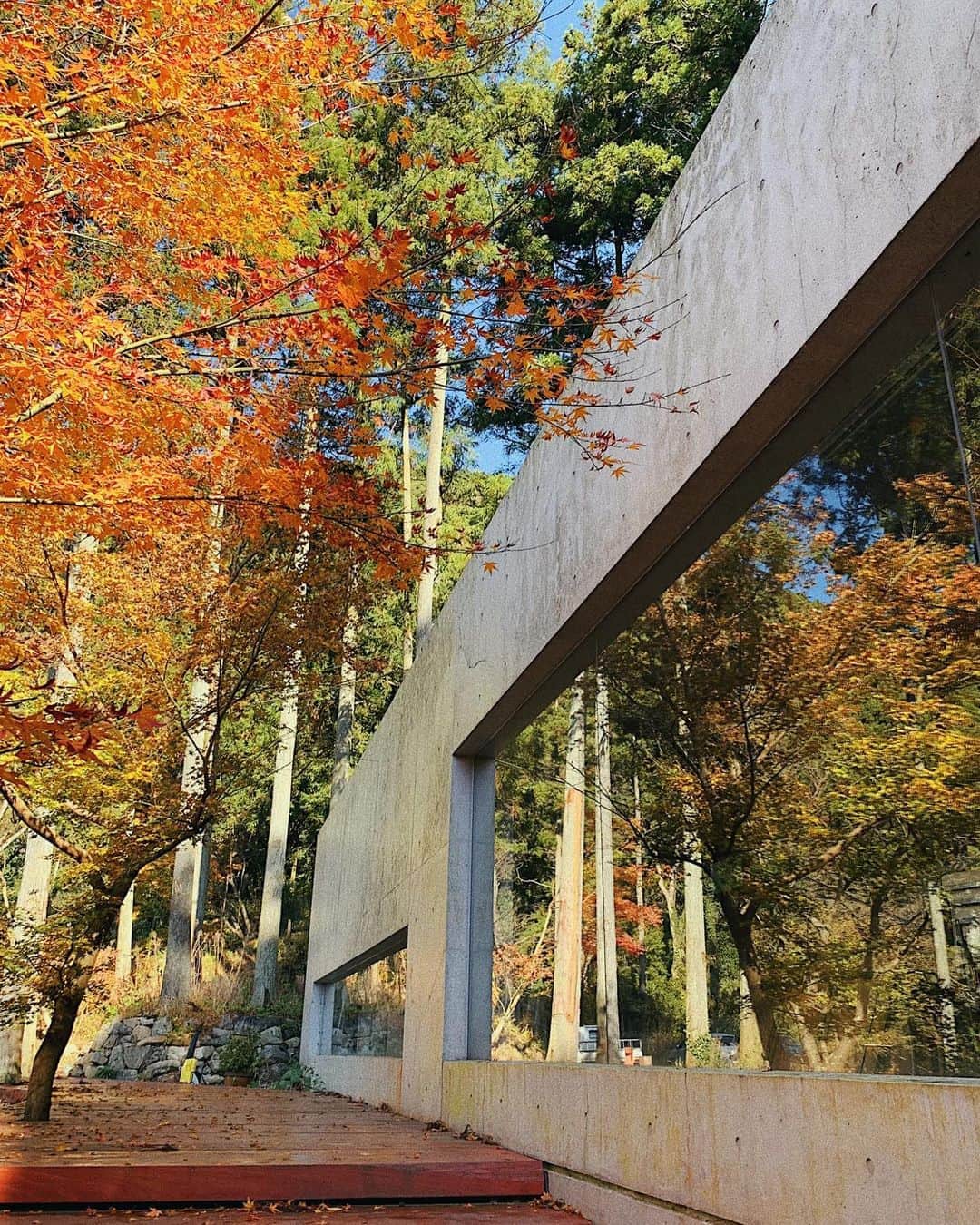 草野春香のグルメインスタ