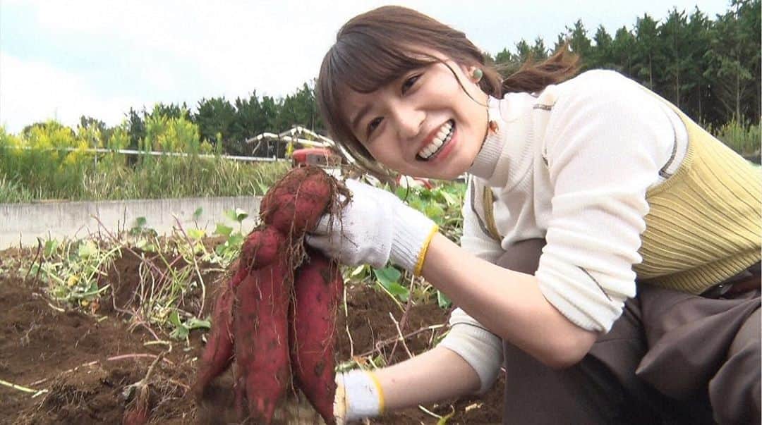 のインスタグラム：「／ あす7日18時半からの #ごはんジャパン は🥗 元欅坂46 #長濱ねる(@nerunagahama_ )さんが #三島市 へ🚶‍♀️✨ ＼  絶景の広がる畑で育まれるサツマイモ「#三島甘藷」を堪能🤤 パン職人 #伊原靖友 シェフがスイーツや新食感のパンを焼き上げます🍞  ぜひご覧ください📺 #静岡朝日テレビ」