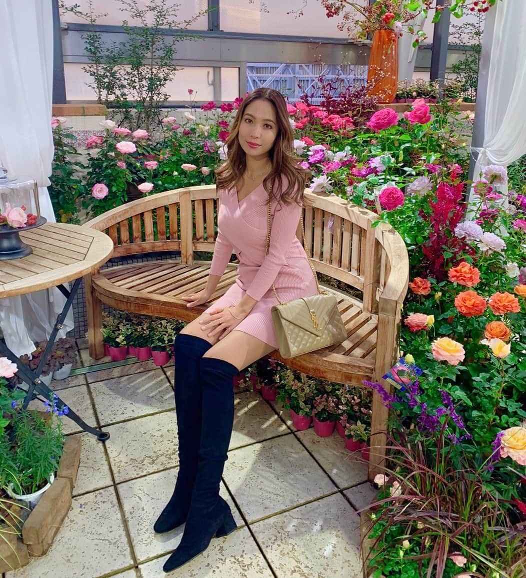 エリカ・セイラさんのインスタグラム写真 - (エリカ・セイラInstagram)「Autumn rose garden💕 #ファンケル #ファンケル銀座スクエア #オータムローズガーデン #ローズガーデン #rosegarden #roses #flowerstagram #flowerporn #京成バラ園 #halfjapanese #eurasian #ハーフ #モデル #ハーフモデル #YSL #YSKbag  #銀座 #薔薇 #薔薇園 #秋コーデ #サンローラン #サンローランバッグ #ニットワンピ #ニーハイブーツ #marciano #ファンケルピンクバトン」11月6日 18時55分 - erica_sarah_