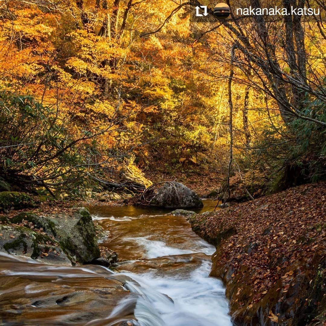 カメラのキタムラさんのインスタグラム写真 - (カメラのキタムラInstagram)「#Repost @nakanaka.katsu • • • • • • 安の滝からの流れ  帰り道、撮った一枚。 渓流の流れと紅葉がきれいで、下るだけなのに、あちこちで引っかかり、ようやく駐車場まで。 自然美が美しいところです、  #はなまっぷ紅葉2020 #my_eos_photo#photo_jp #team_jp東北#japan_street.gg #enjoytohokujapan#Loves_Nippon#photo_jpn#東北でよかっ#キタムラ写真投稿#けしからん風景#行くぜ東北#finetohoku2#東北でよかった#安の滝」11月6日 18時56分 - camera_kitamura