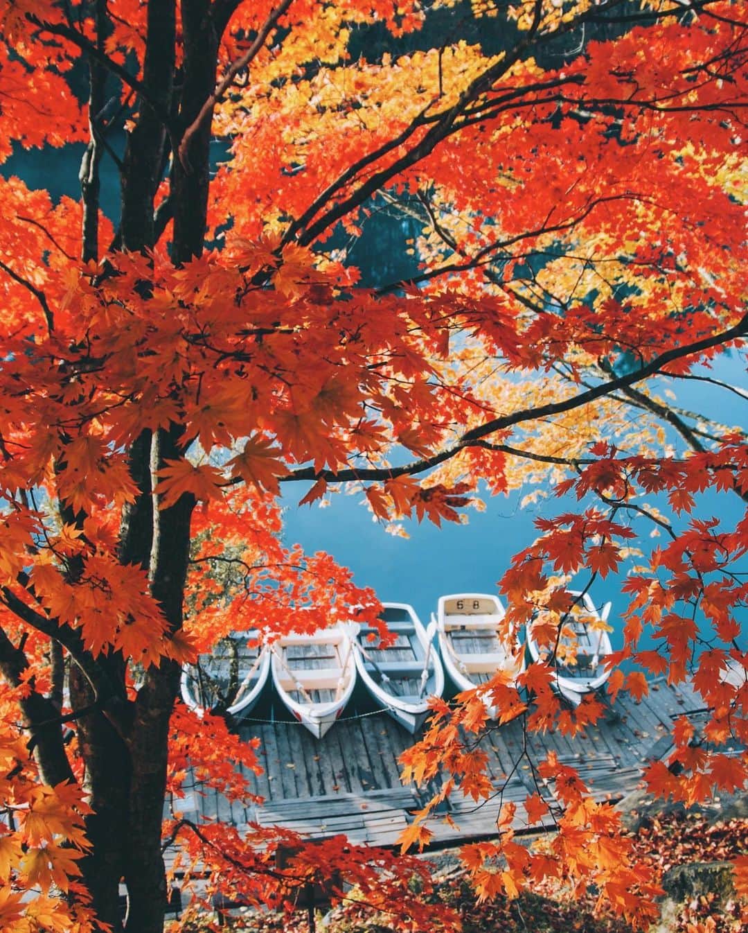 yukiさんのインスタグラム写真 - (yukiInstagram)「・ ・ ・ Beautiful autumn days ・ ・ ◉NICOSTOPサイトにて記事公開中◉ https://nicostop.nikon-image.com/entry/technic/landscape-portrait/2020/10/16/1 ・ ・ ・ ◉sty830 base shop◉ https://sty830.base.shop/ ・ ・ ・ #福島　#五色沼」11月6日 19時06分 - sty830