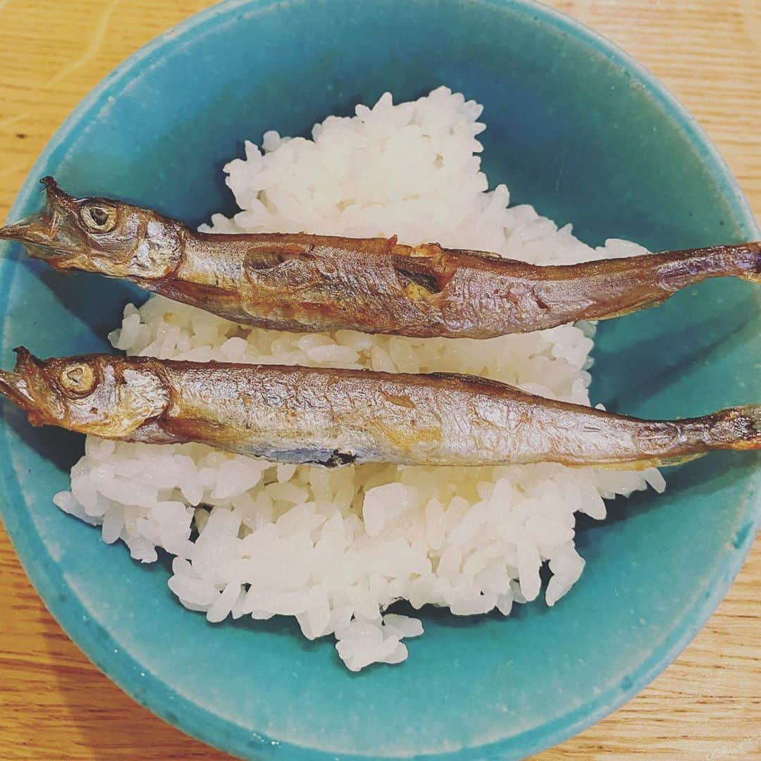 増田修一朗さんのインスタグラム写真 - (増田修一朗Instagram)「トトロ飯  さつきが作った弁当風  #ジブリめし」11月6日 19時11分 - shuichiro_masuda