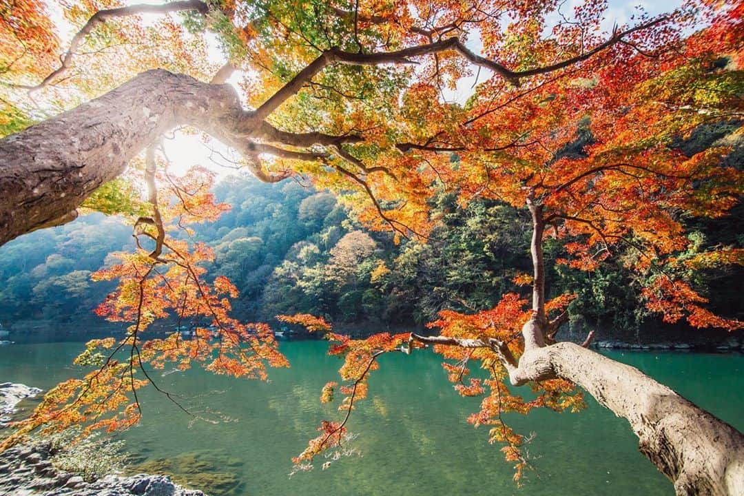 Sonoda COO Yukiyaのインスタグラム：「Autumn in Kyoto   I have stopped posting photos to Instagram but nowI’m ready to restart !!  紅葉の美しい季節がそろそろやってきますね！Instagramも復活していきたいと思います！  #kyoto #kyotojapan #autumnleaves #autumn」