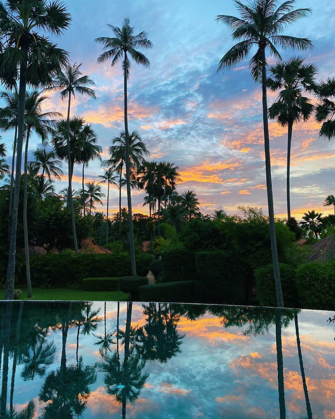 タヤ・ロジャースさんのインスタグラム写真 - (タヤ・ロジャースInstagram)「Blessed✨💕  . . . . . . . . . #TheArtOfBelmond @belmondnapasai @belmond」11月6日 19時51分 - tayastarling